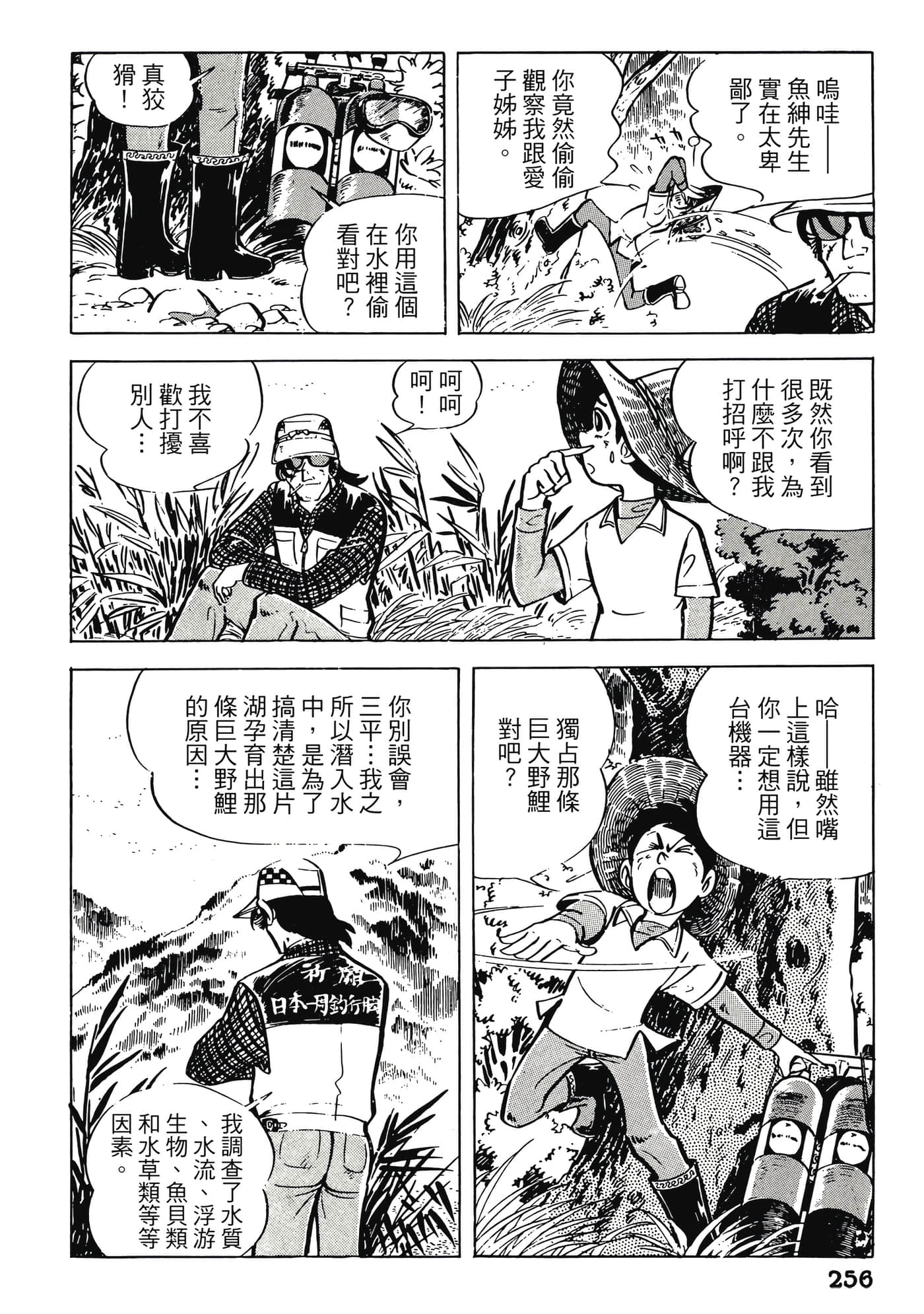 Page 256