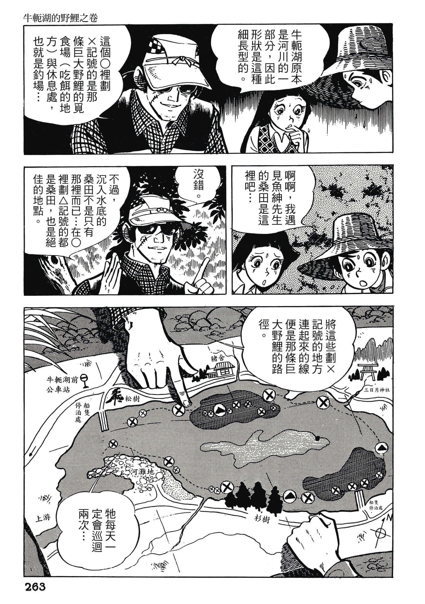 Page 263