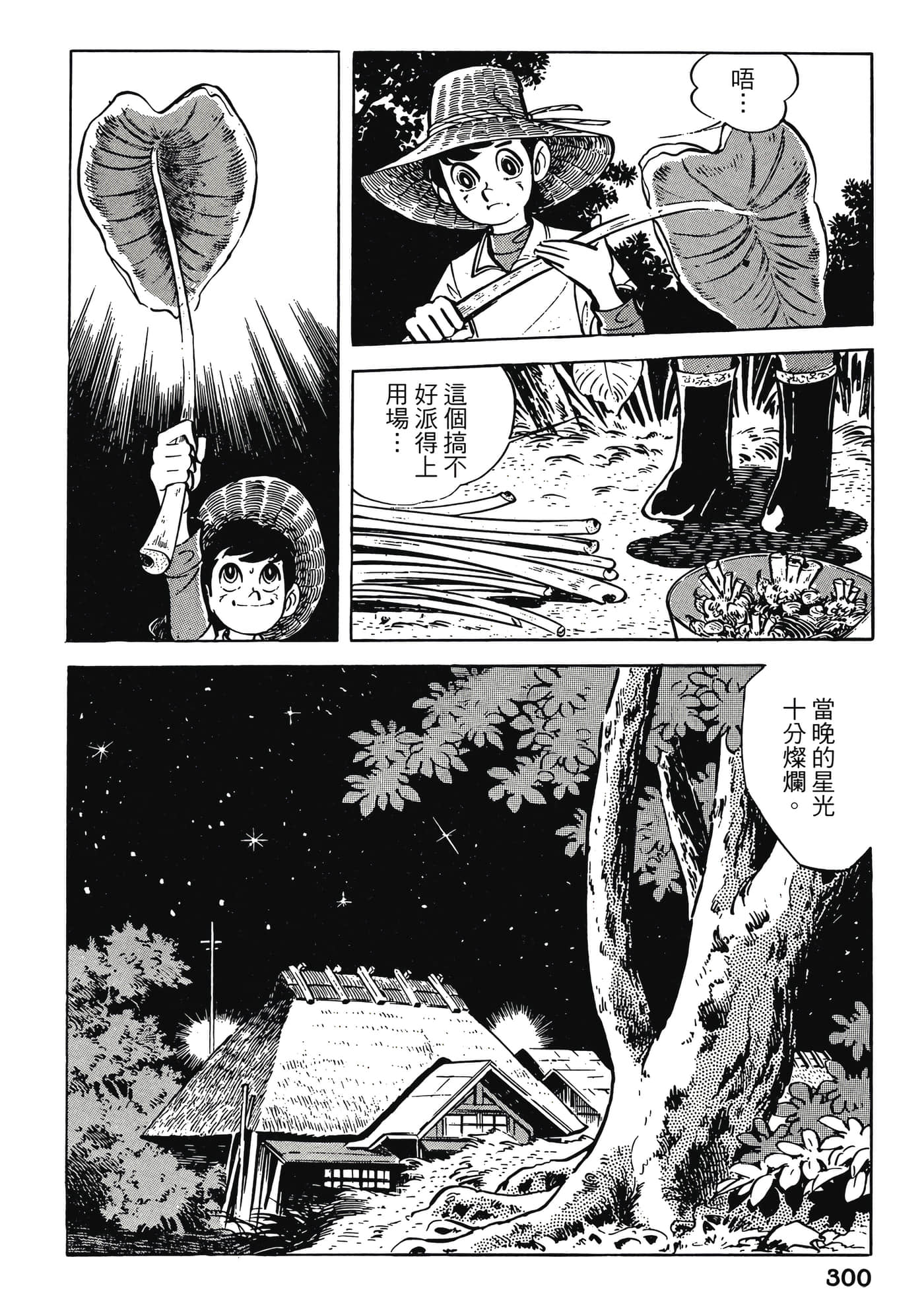 Page 300
