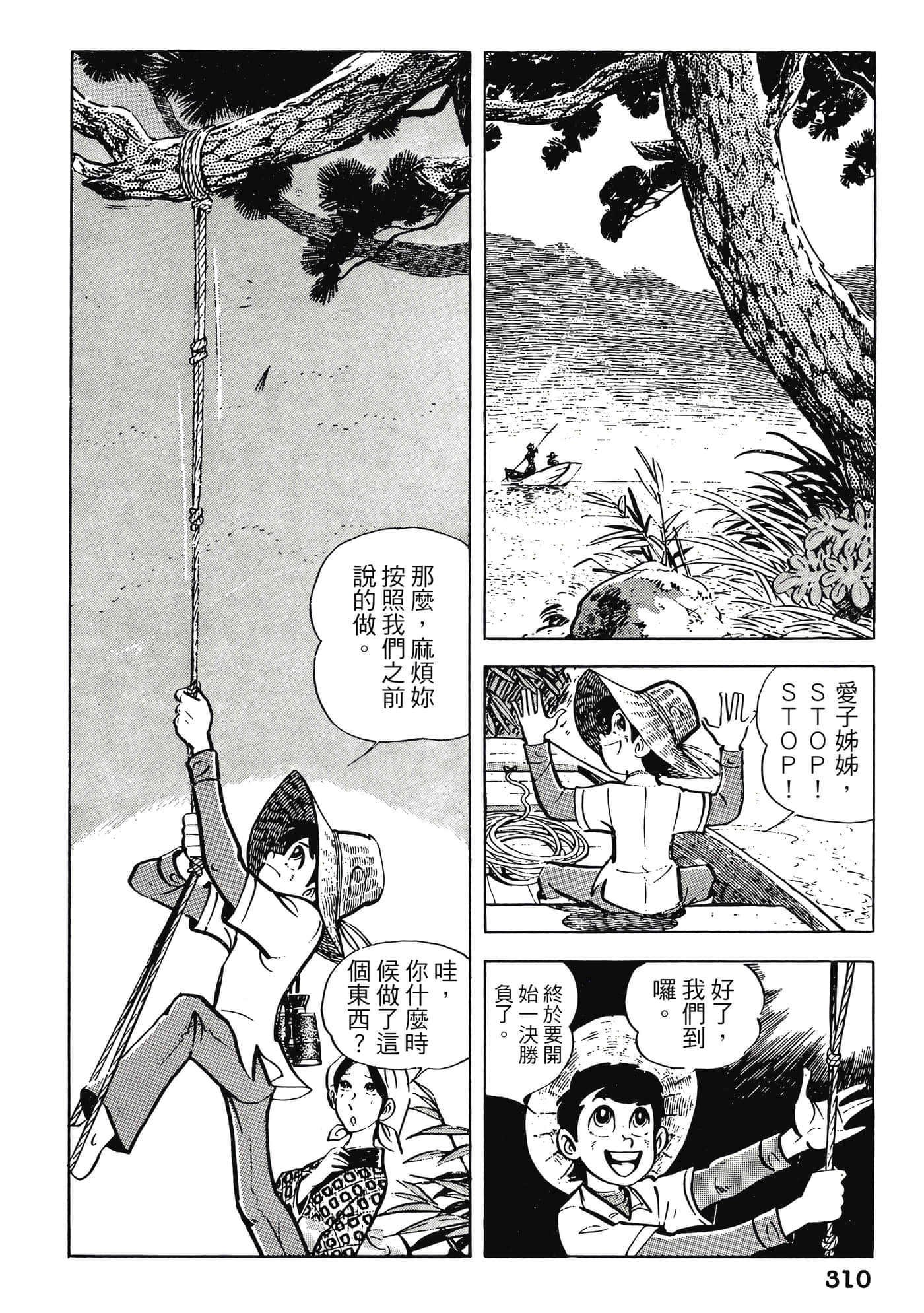 Page 310