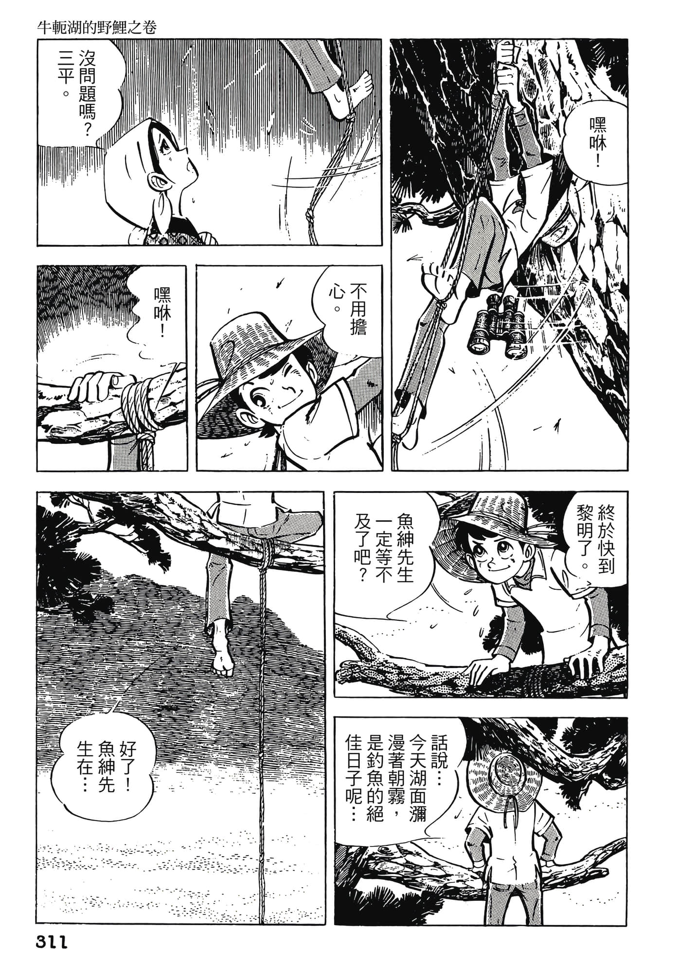 Page 311