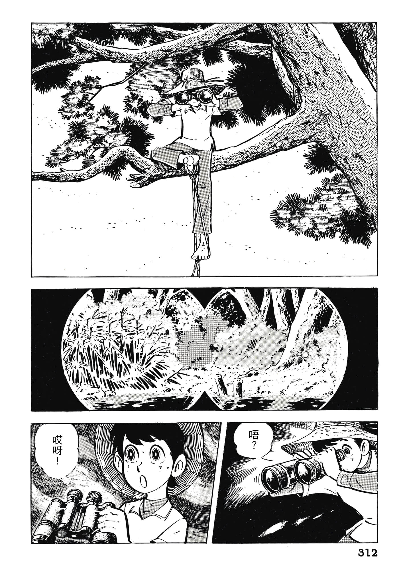 Page 312
