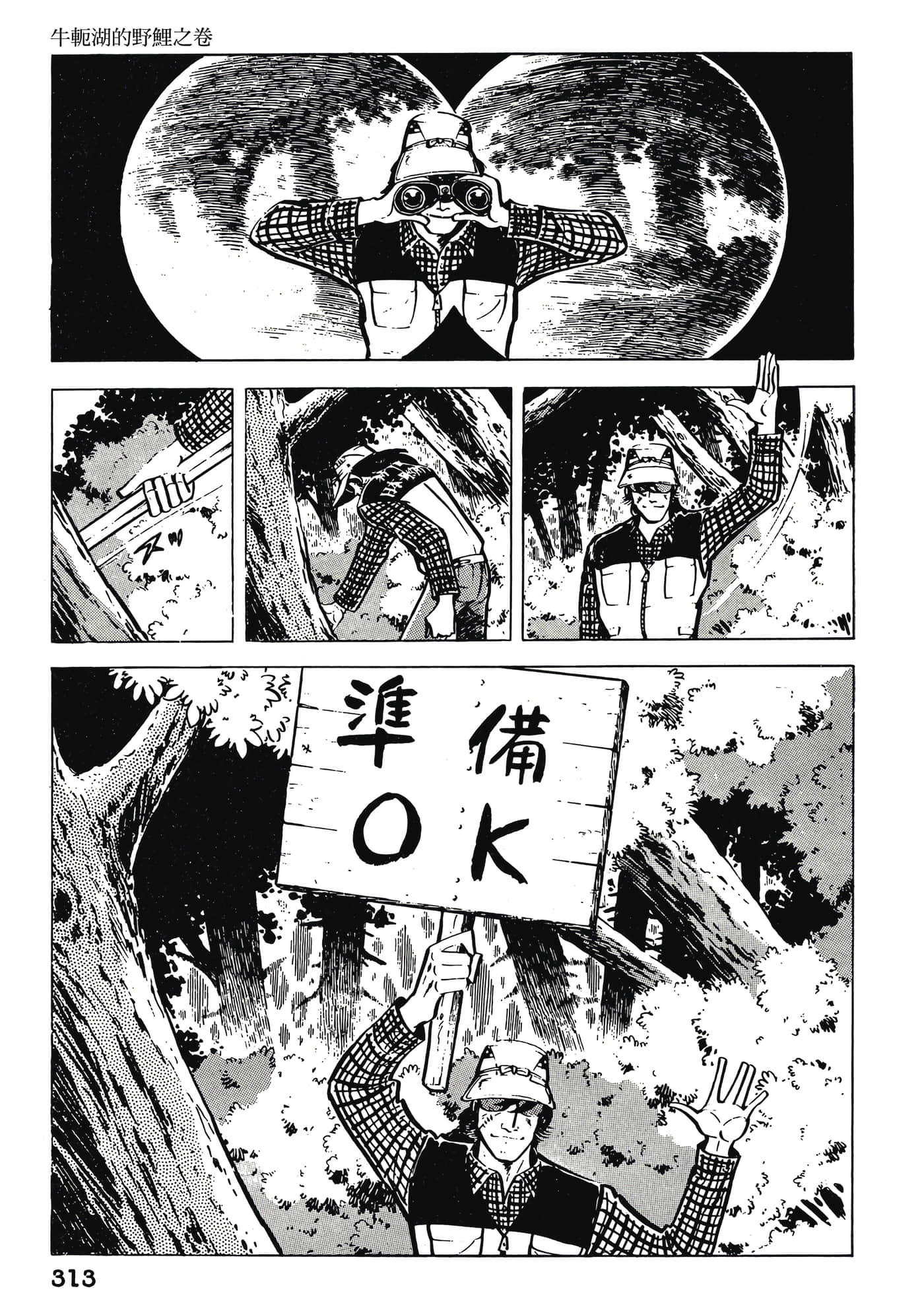 Page 313