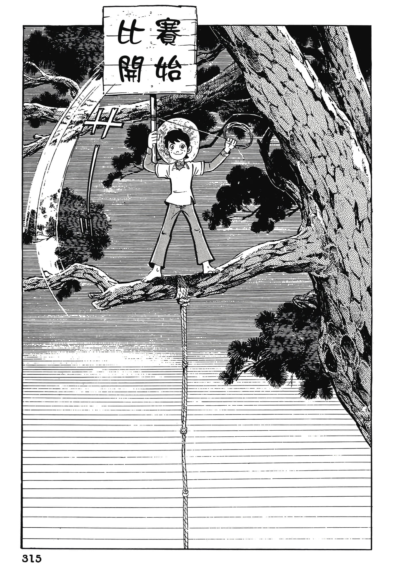 Page 315