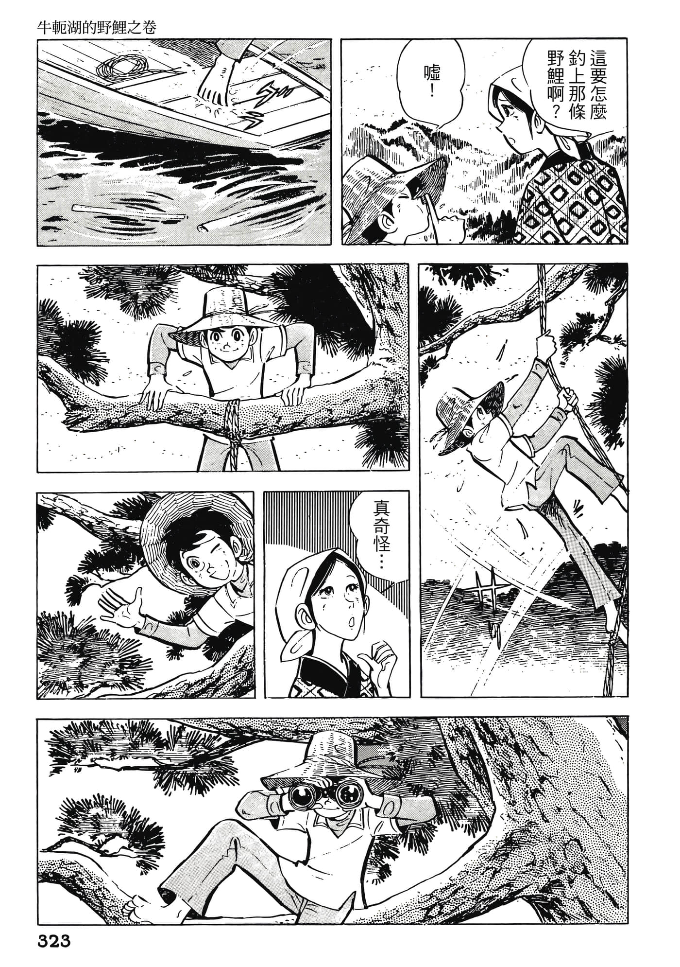 Page 323