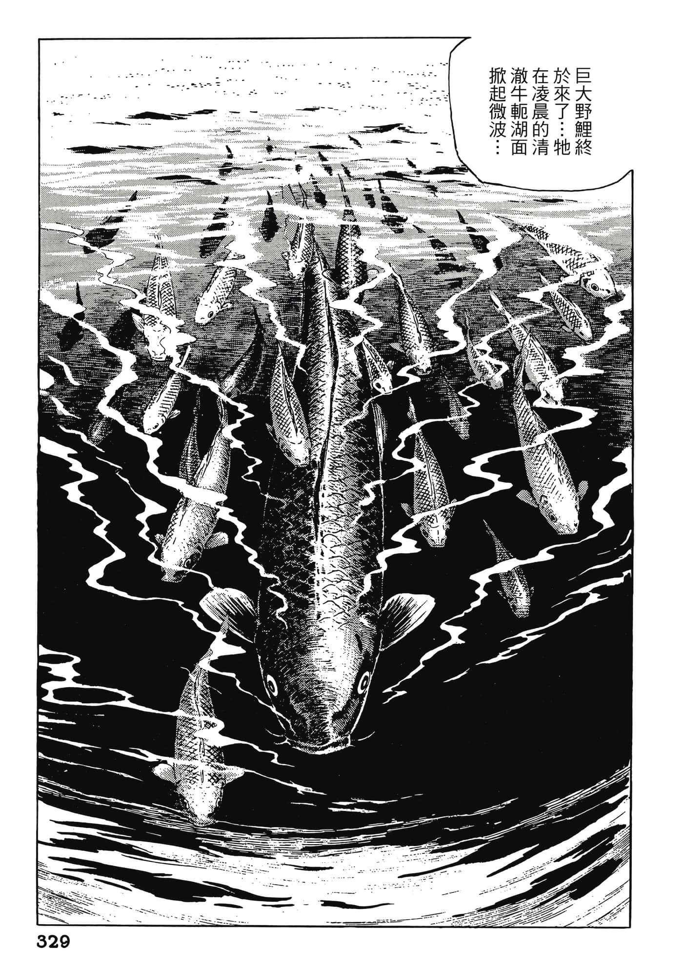 Page 329