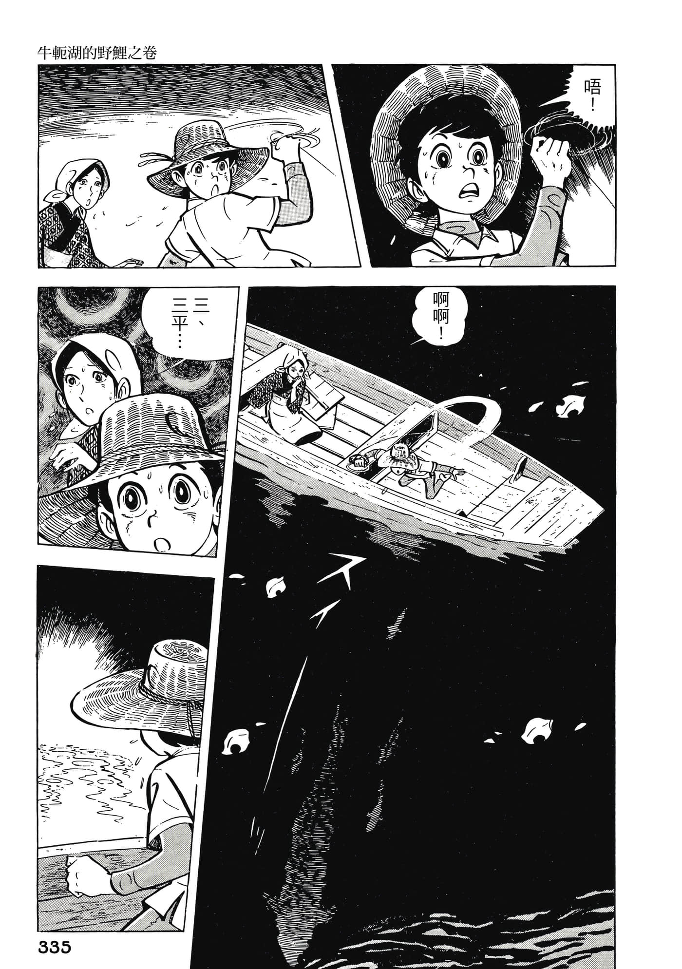 Page 335