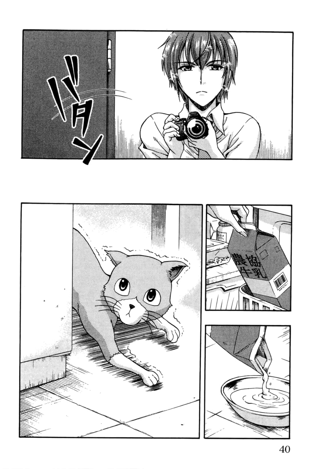 Page 40