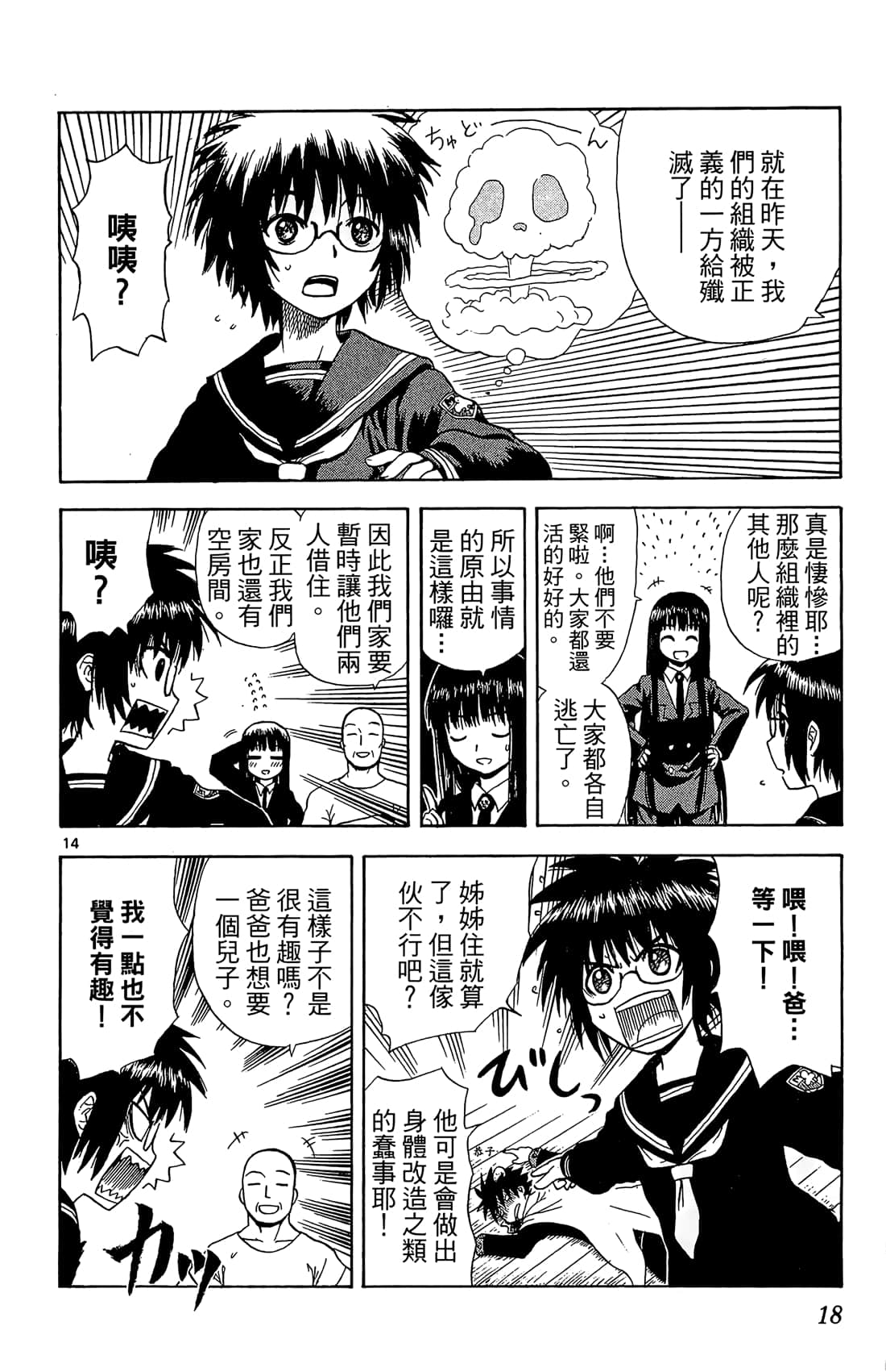 Page 17