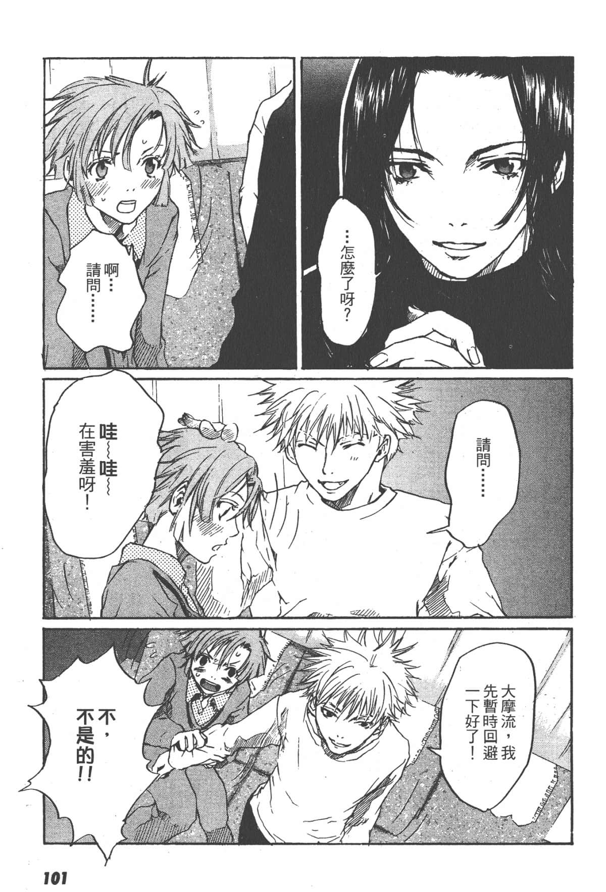 Page 101