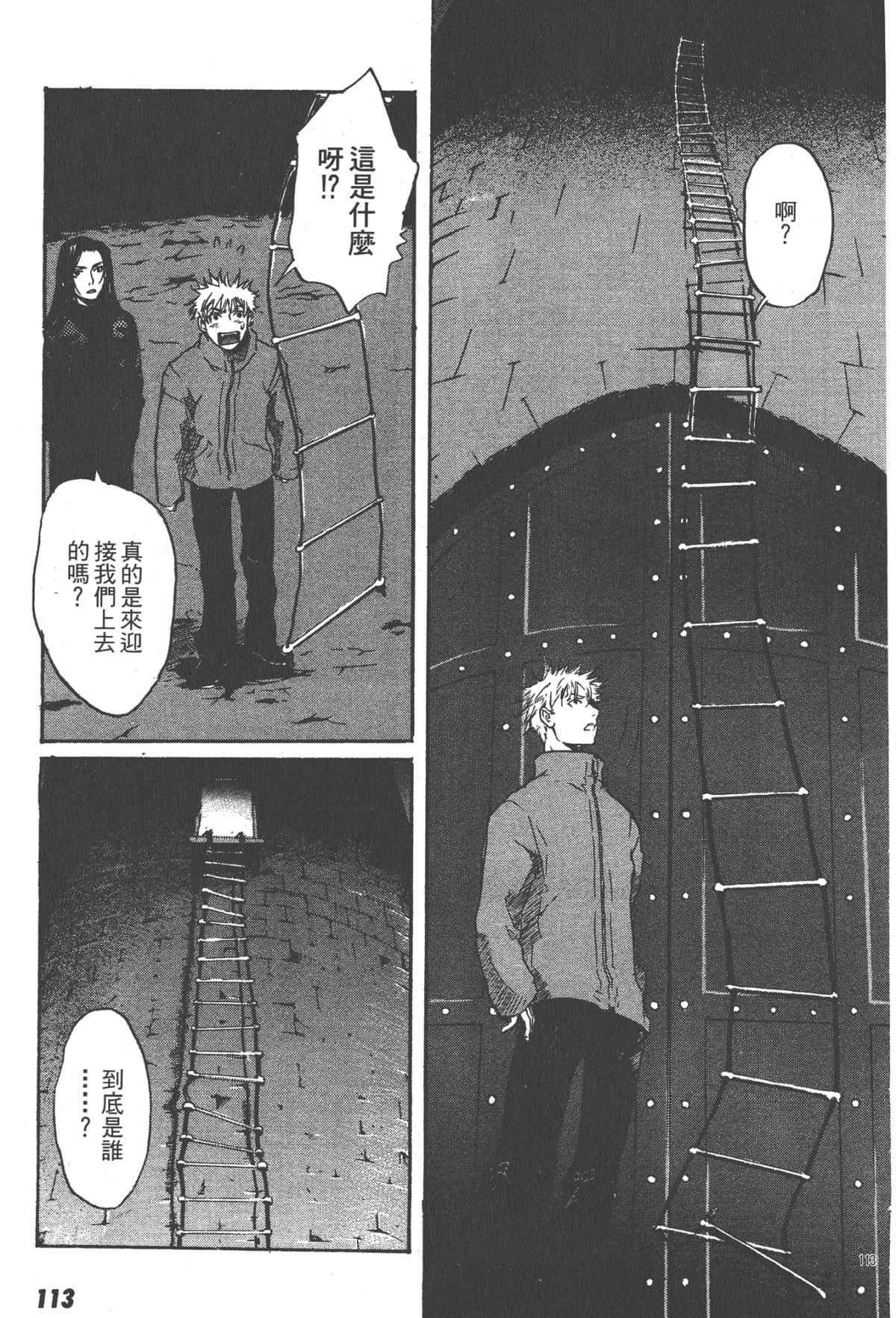 Page 113