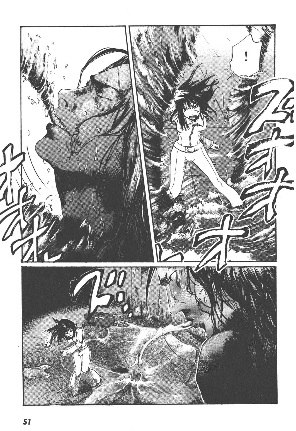 Page 51