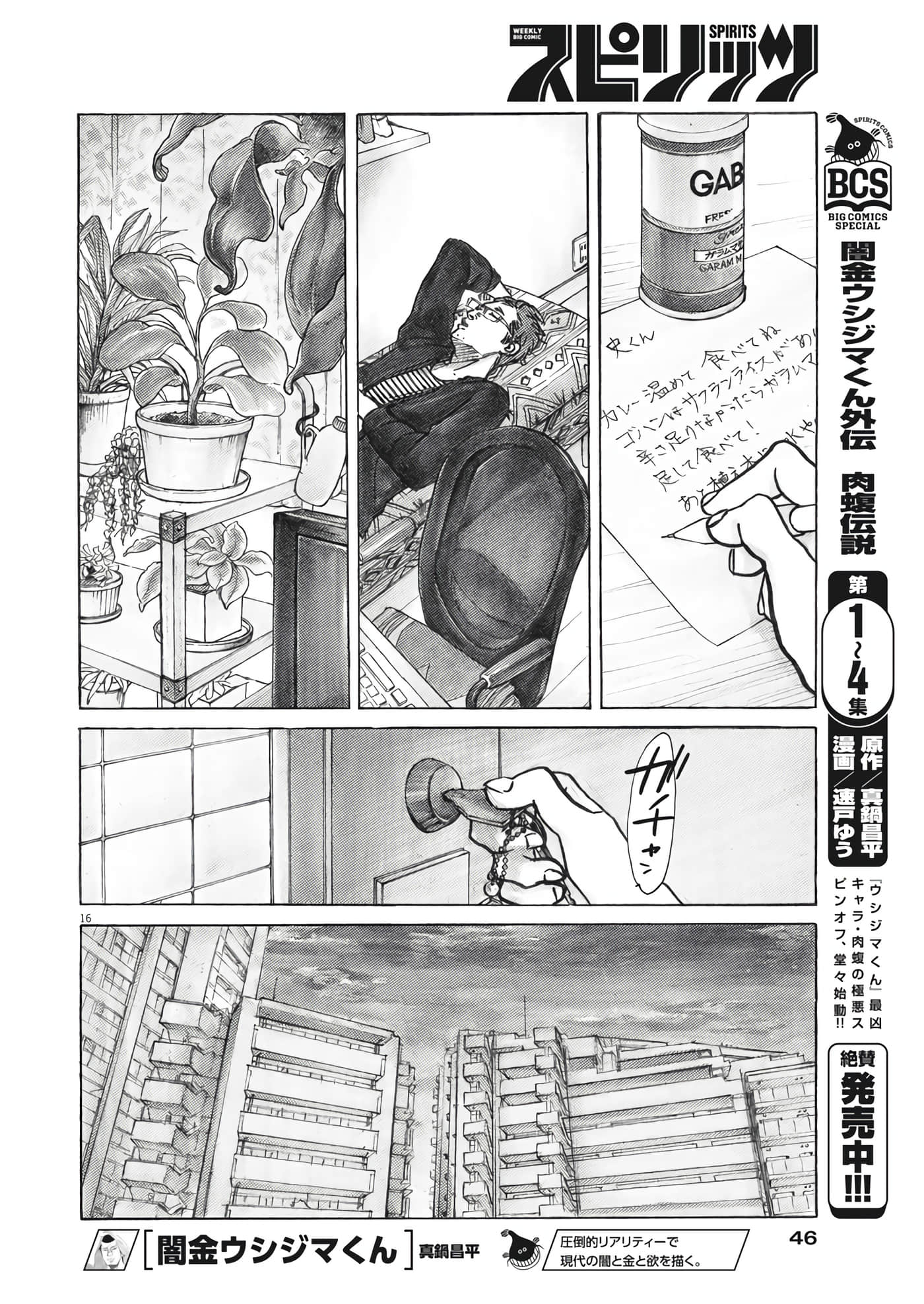 第 16 页