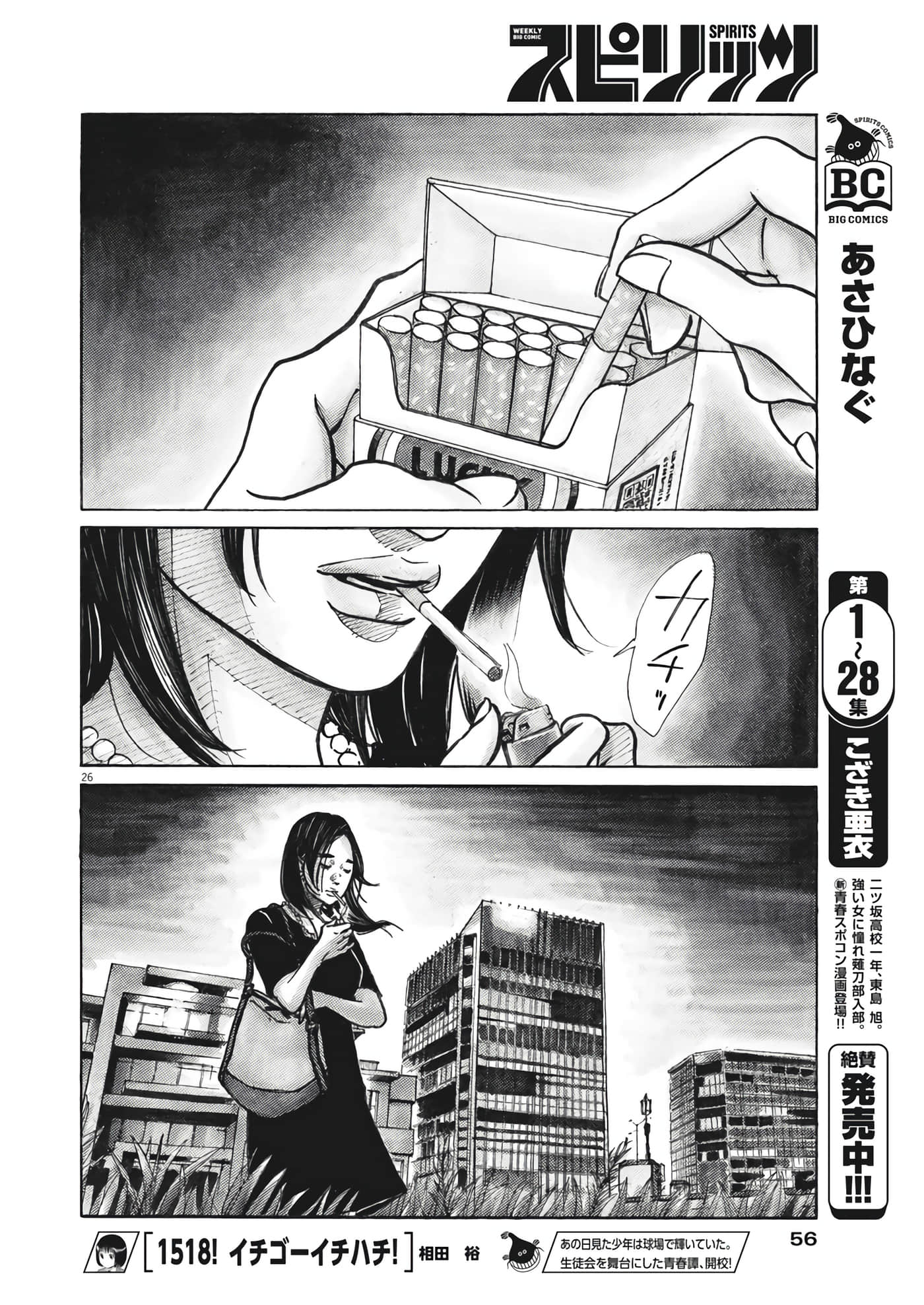 第 26 页