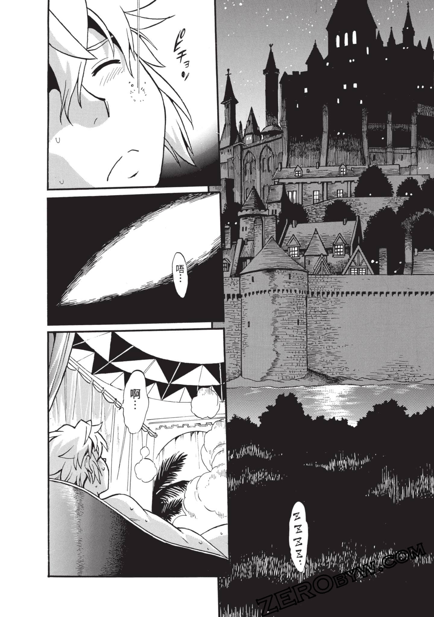 Page 111