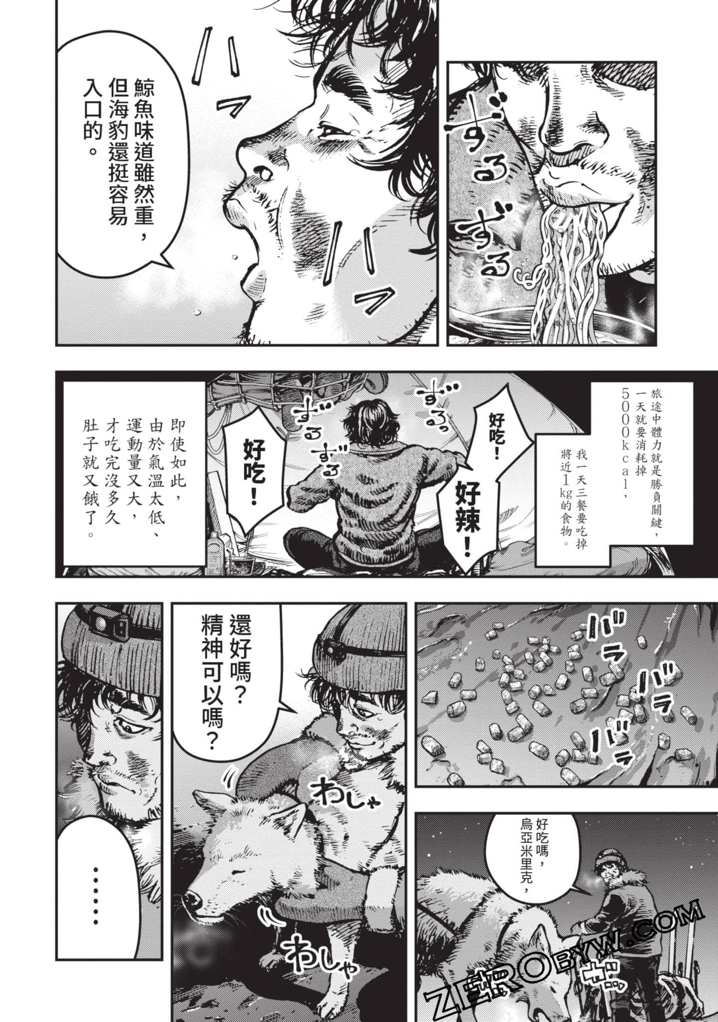 第 99 页