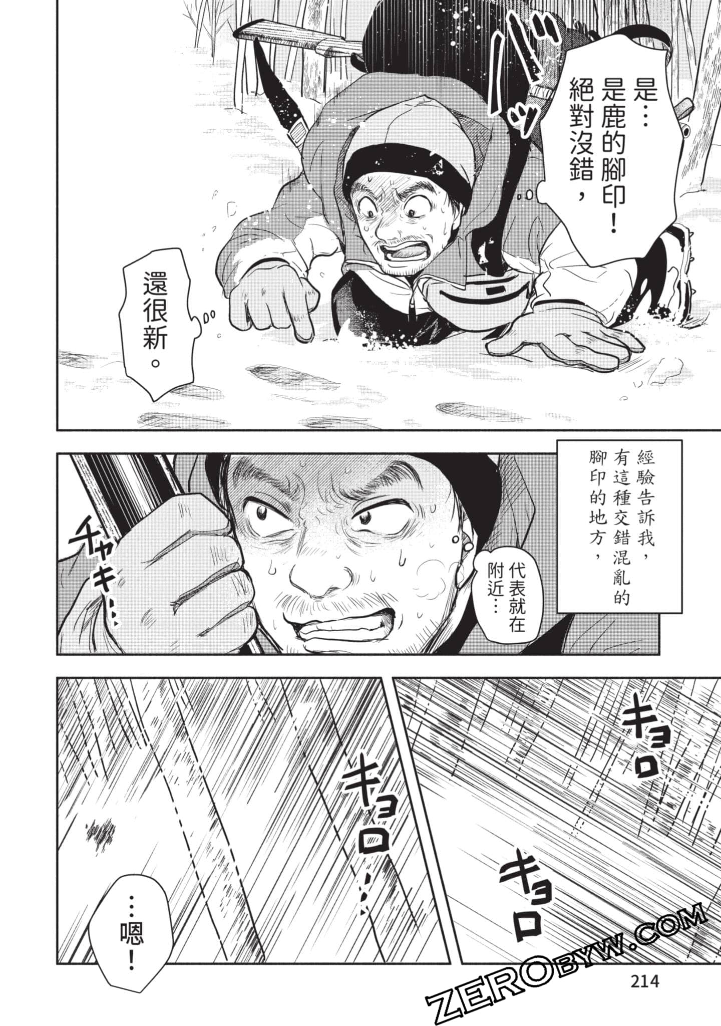 第 215 页