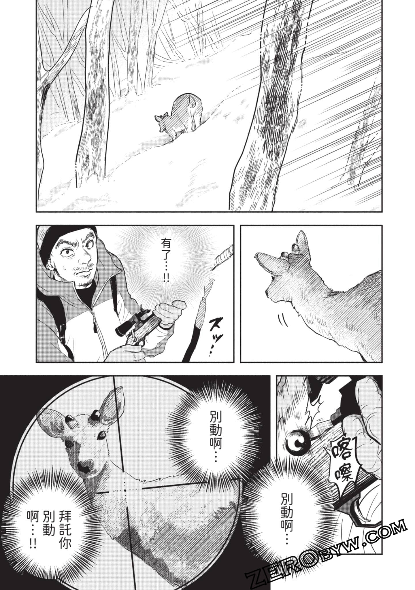 第 216 页