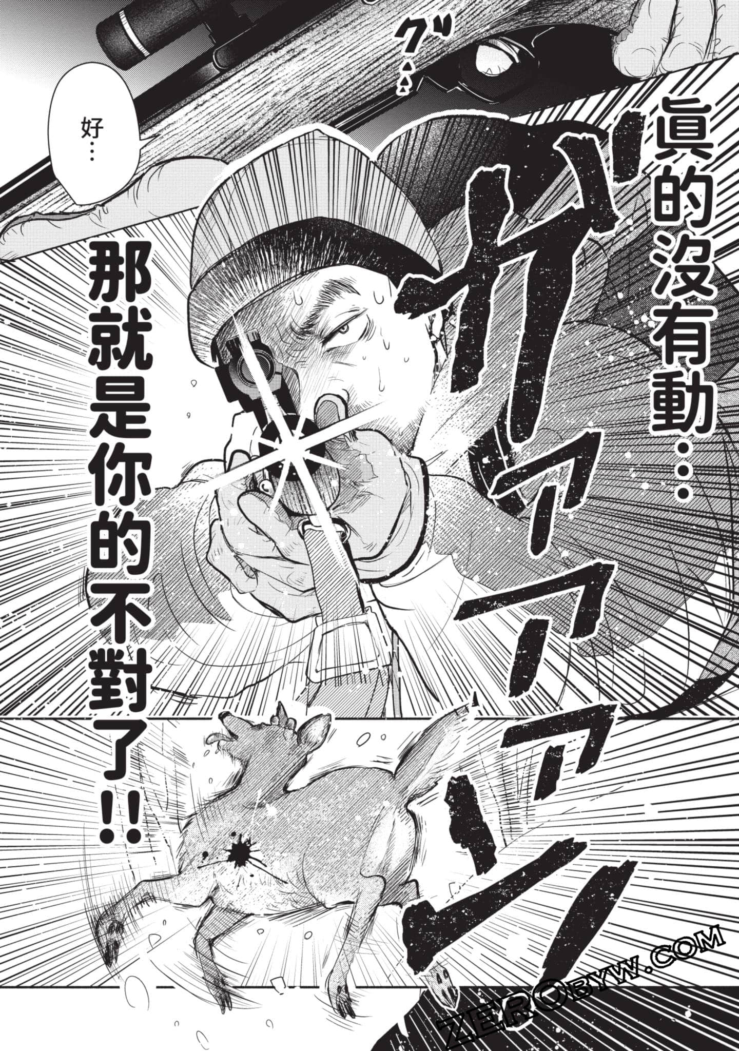 第 217 页
