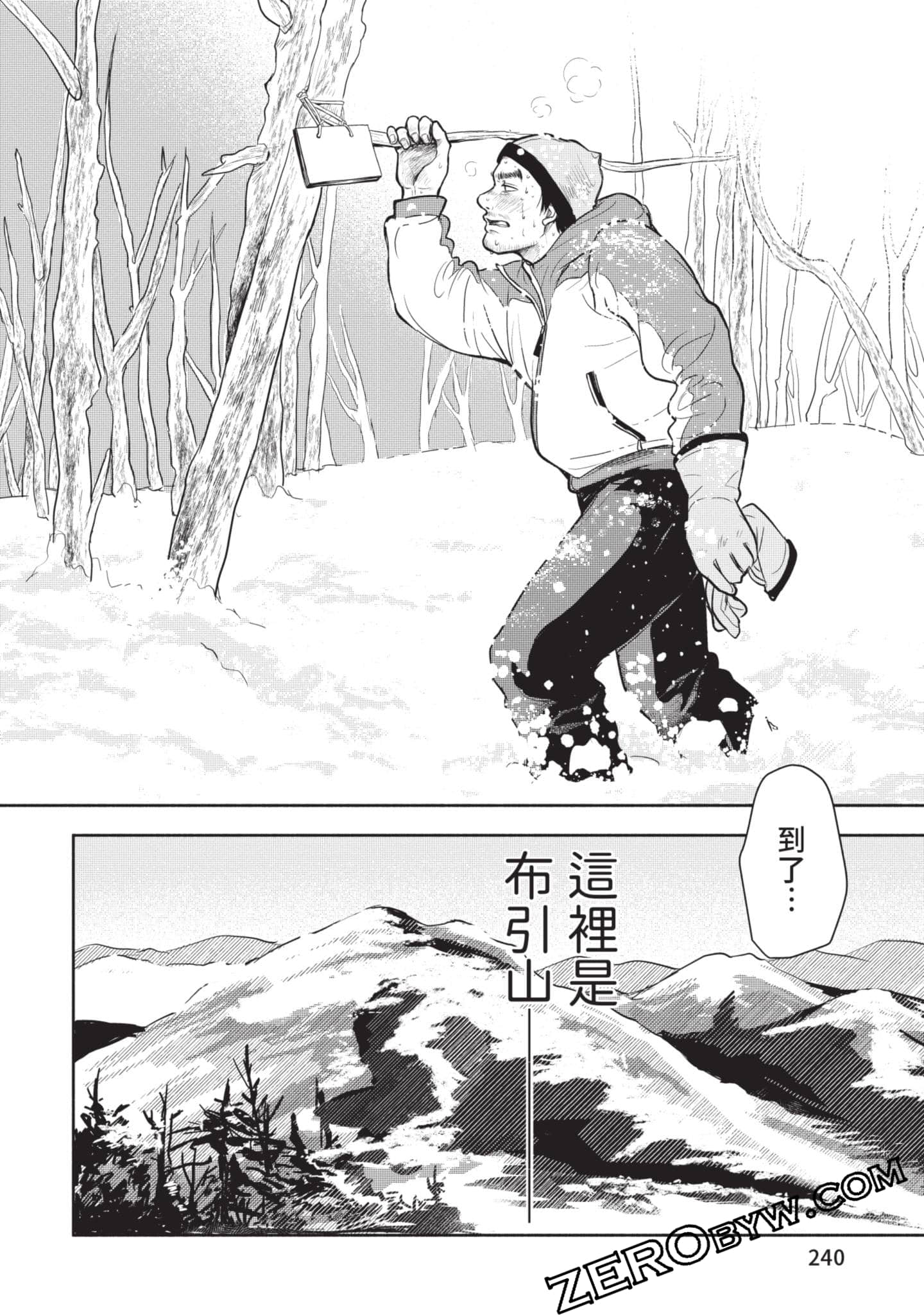 第 241 页