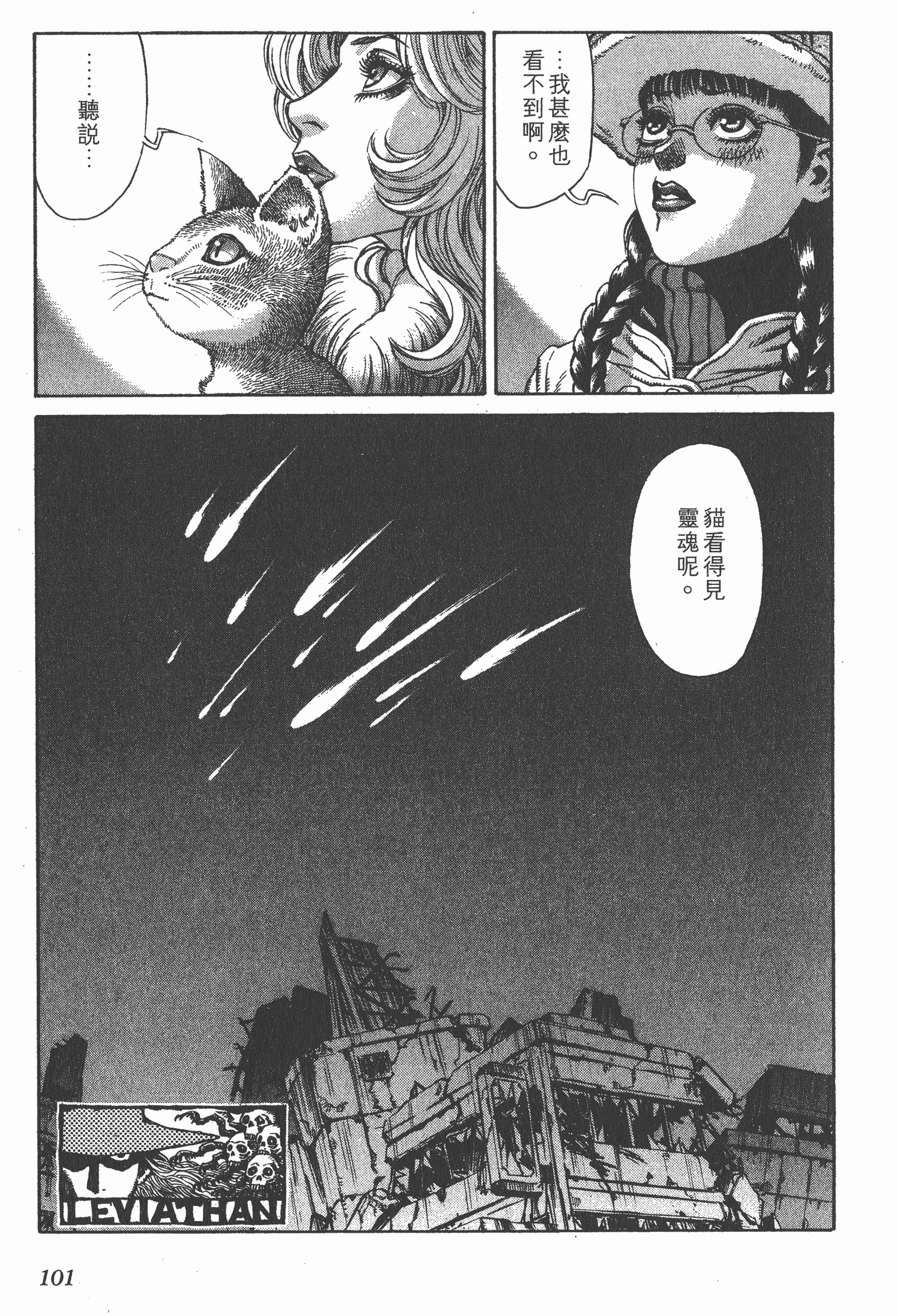 Page 101