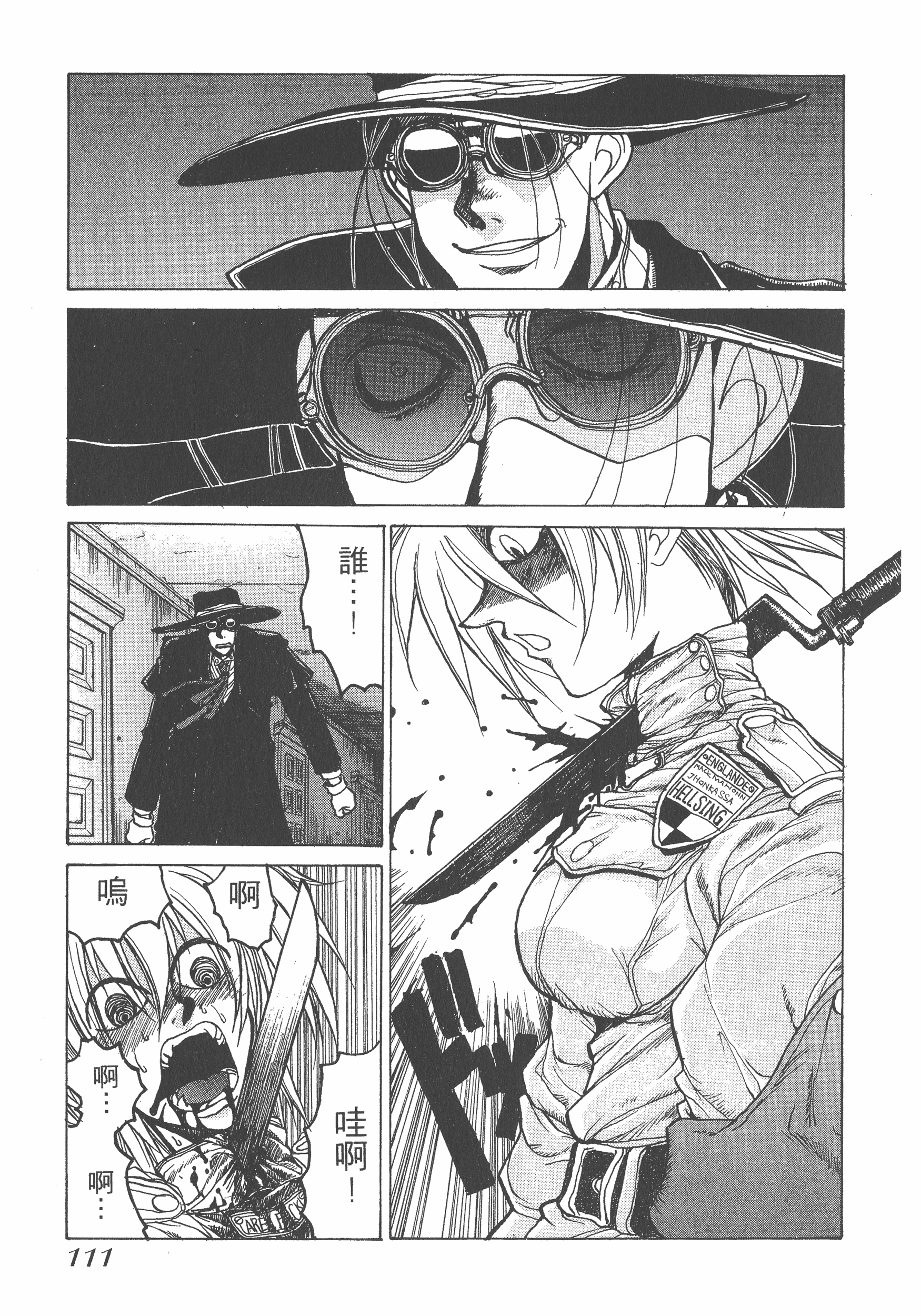Page 111