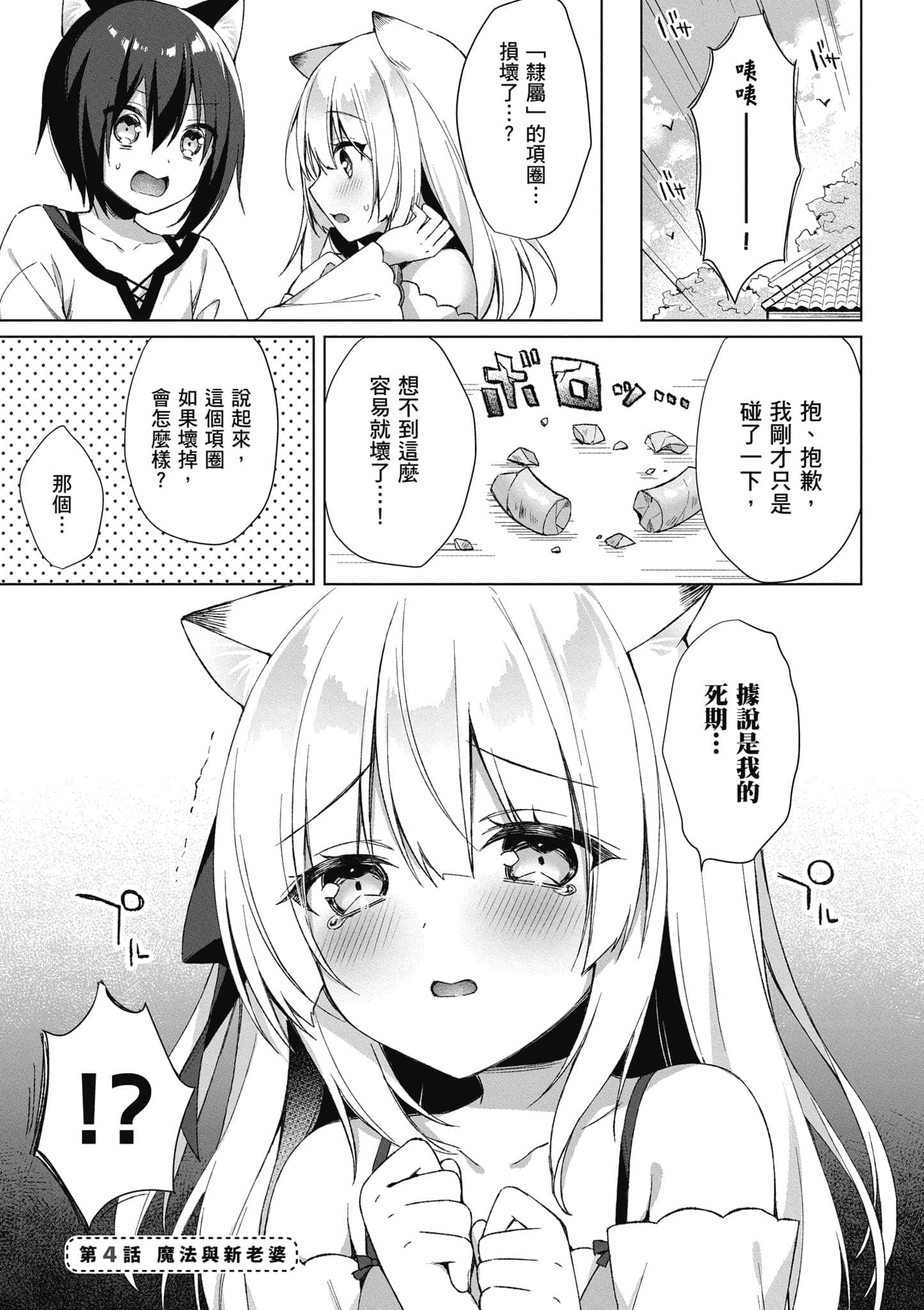 第 110 页