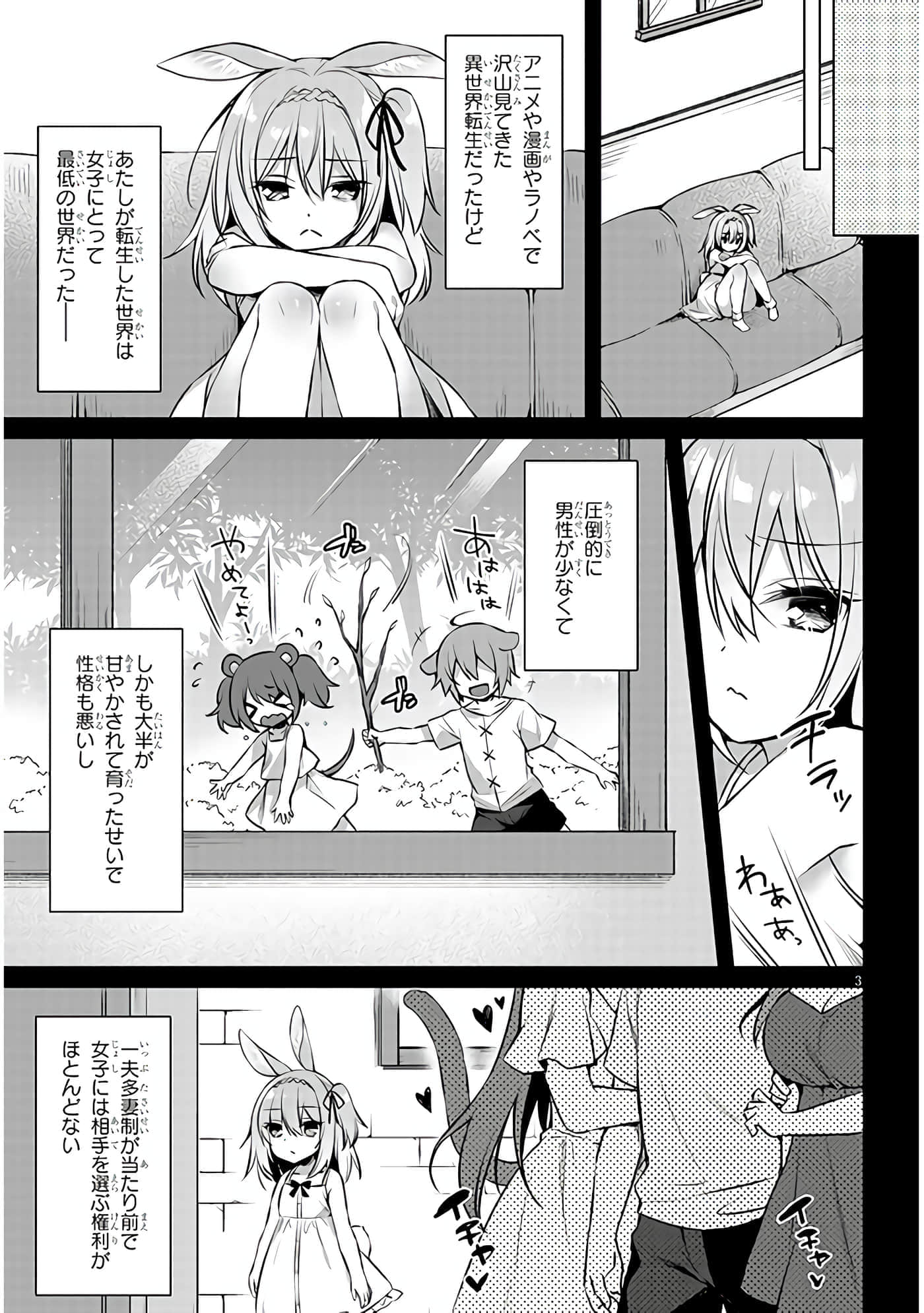 第 3 页