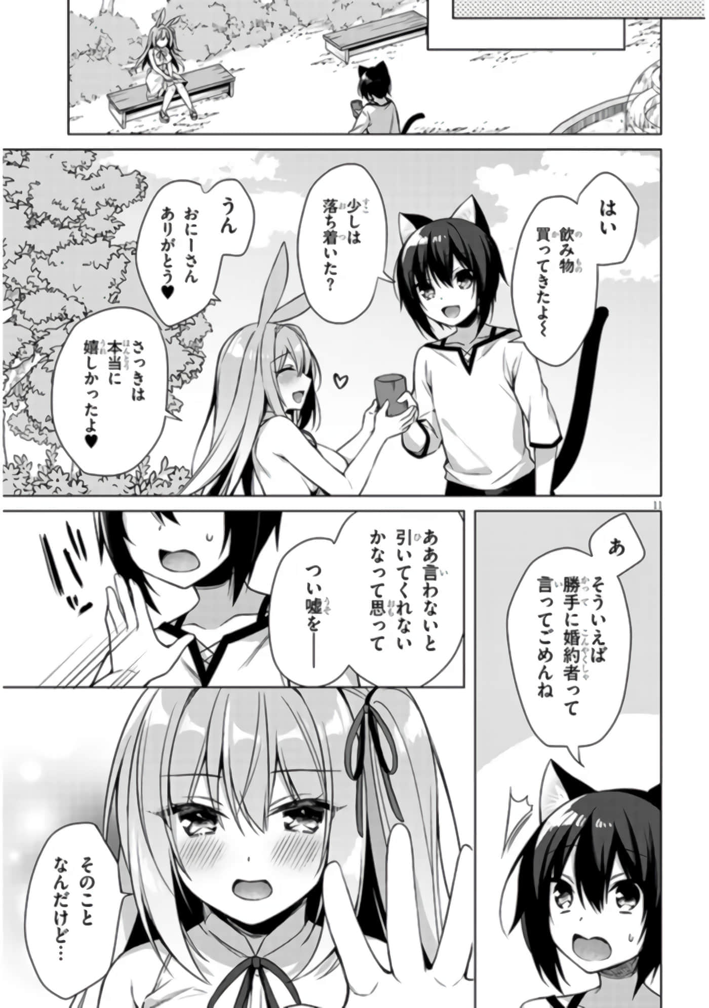 第 11 页
