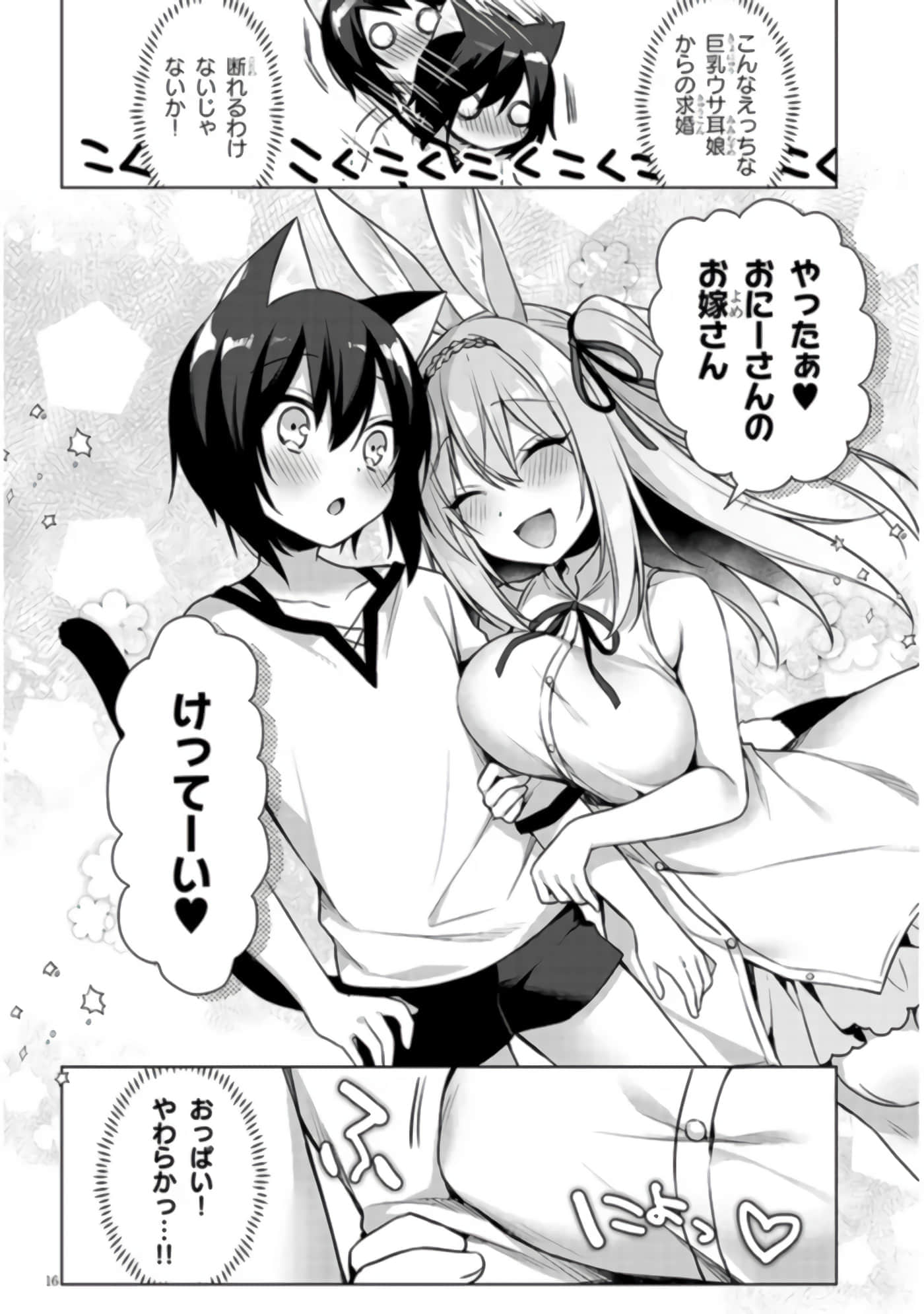 第 16 页