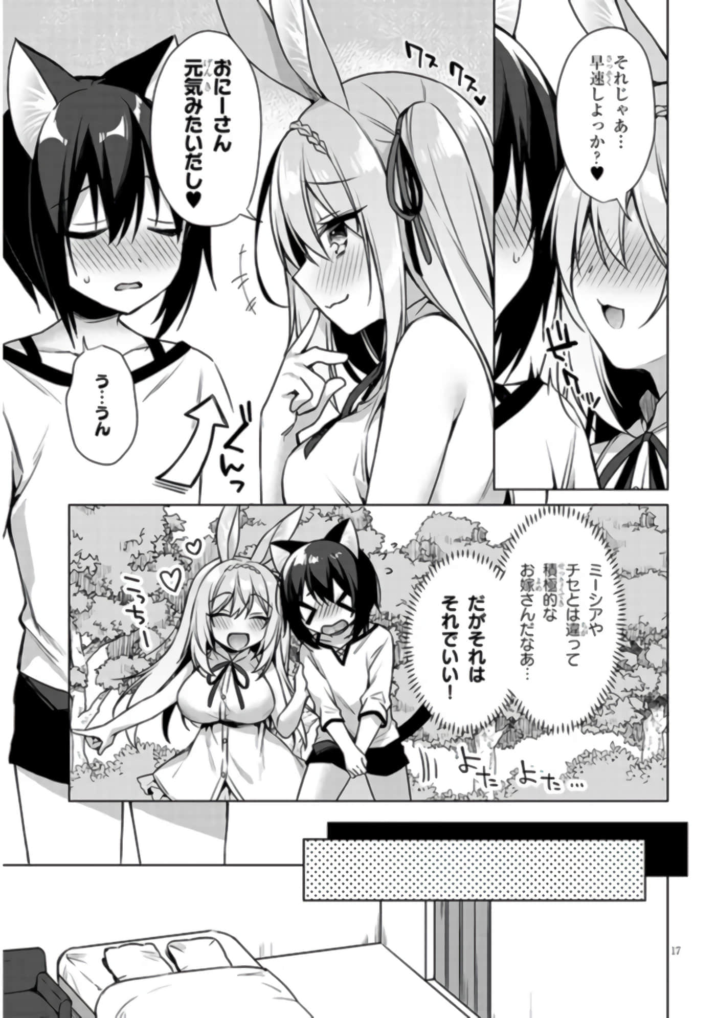 第 17 页