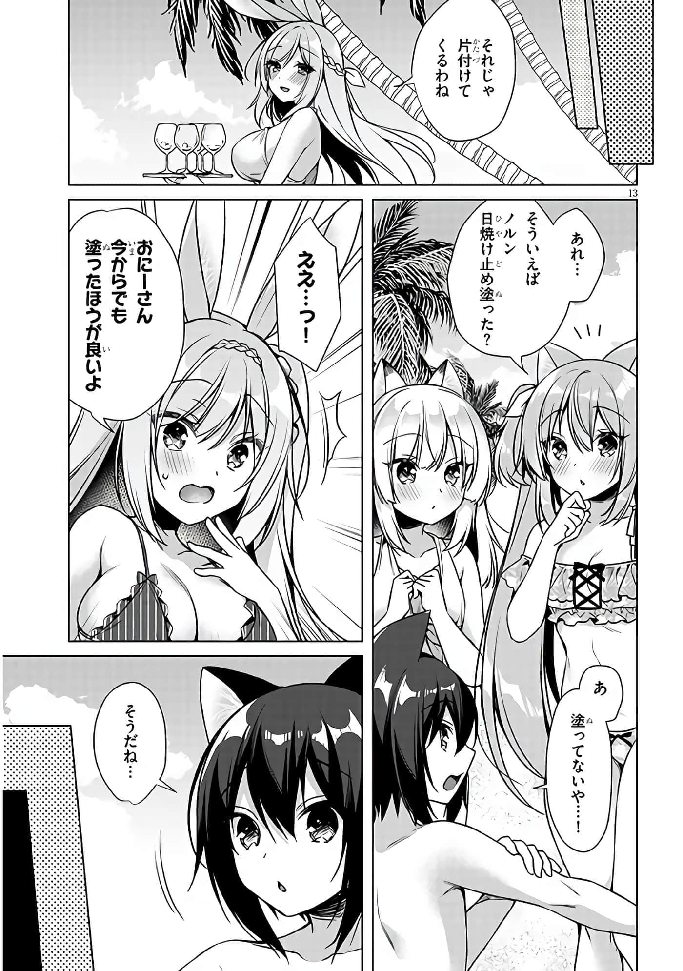 第 13 页