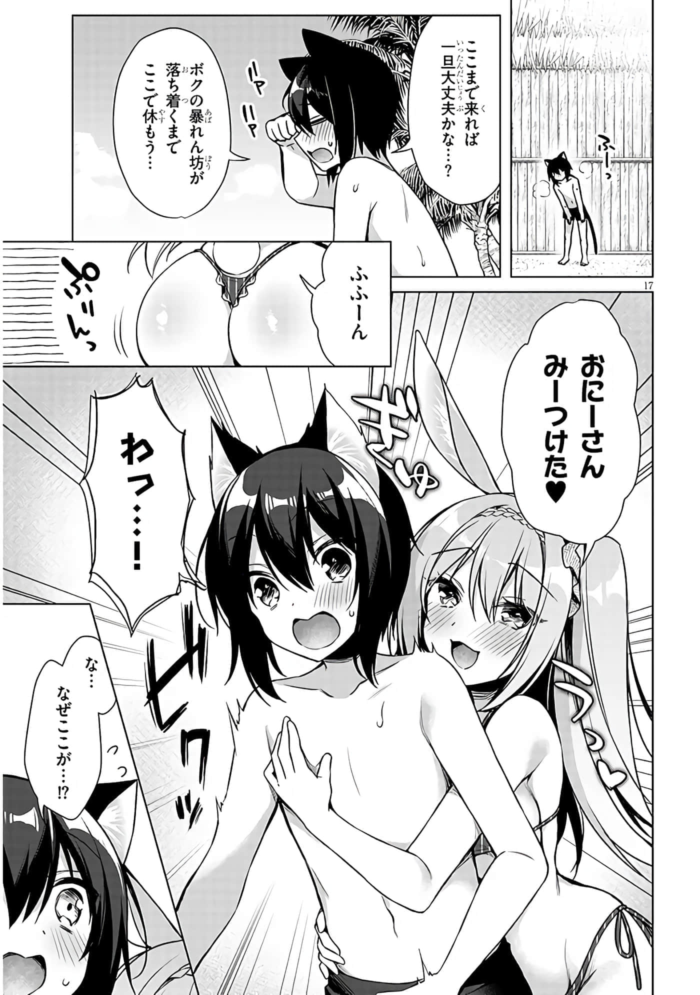 第 17 页