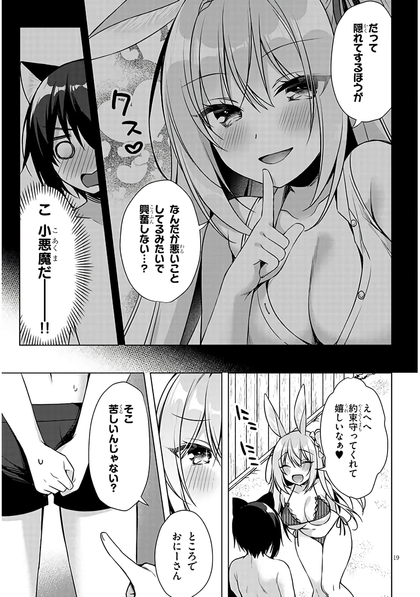 第 19 页