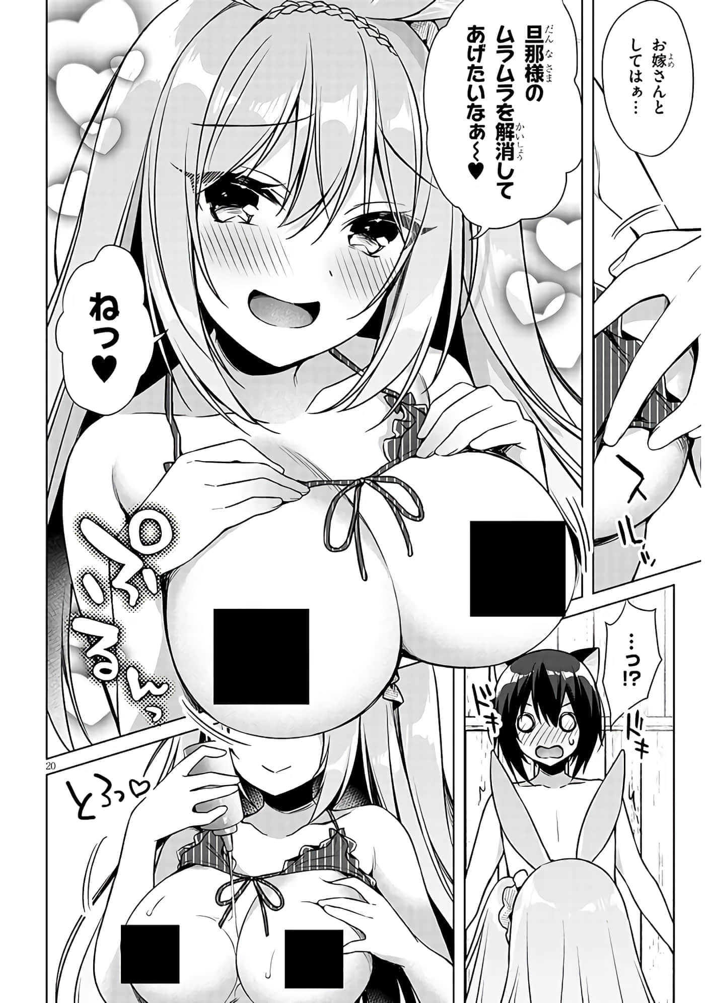 第 20 页