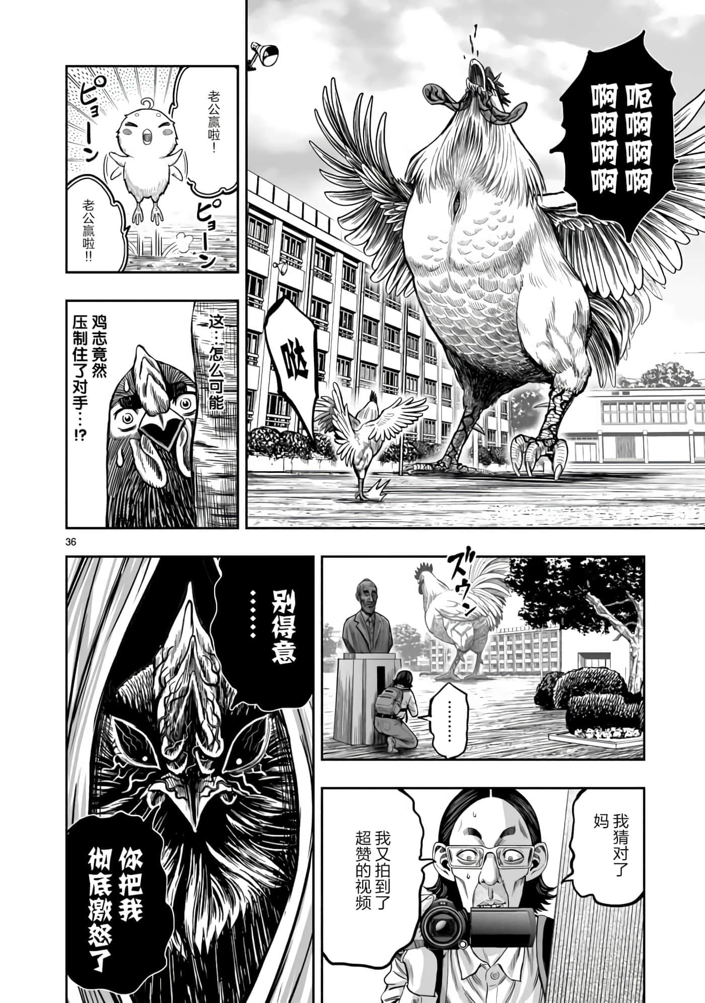 Page 36