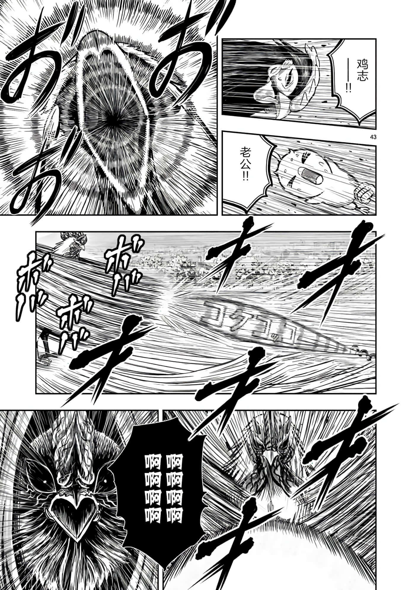 Page 43