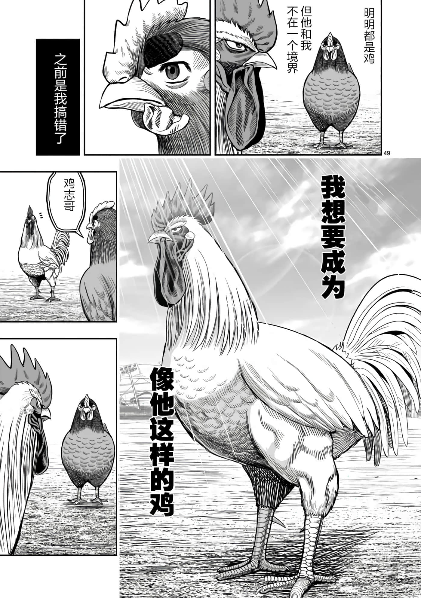 Page 49
