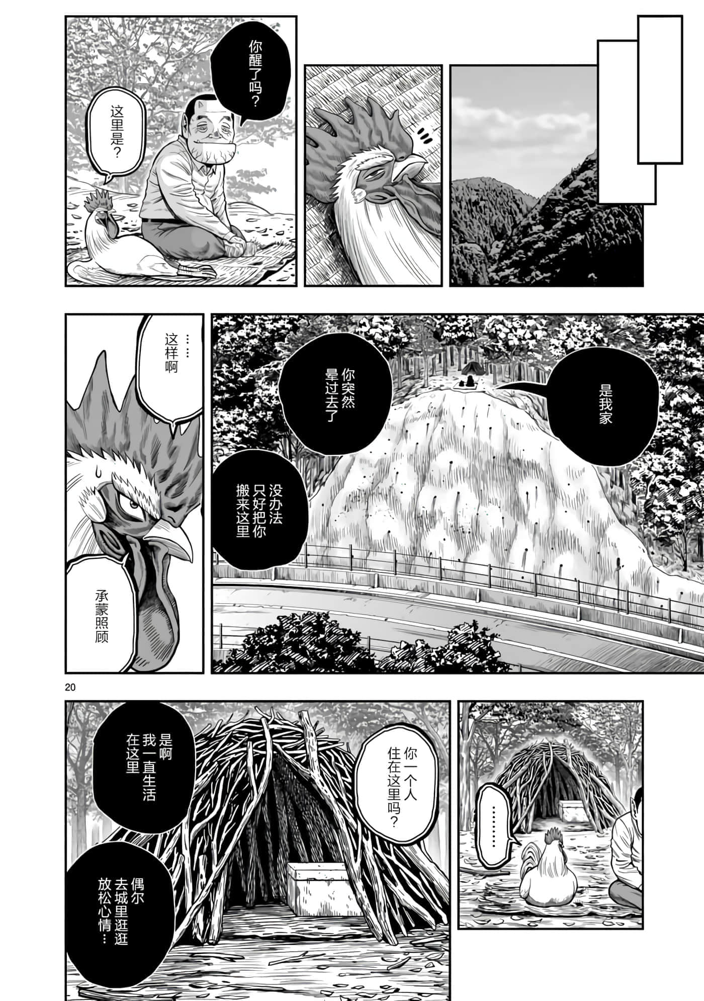 Page 20