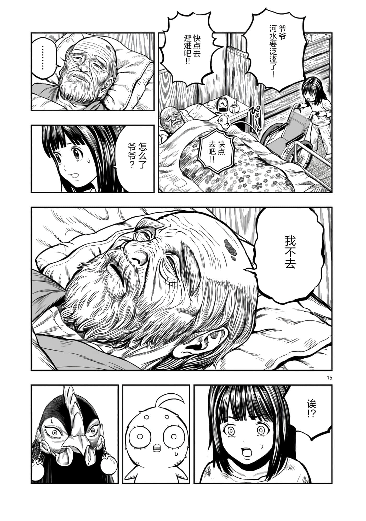 Page 15