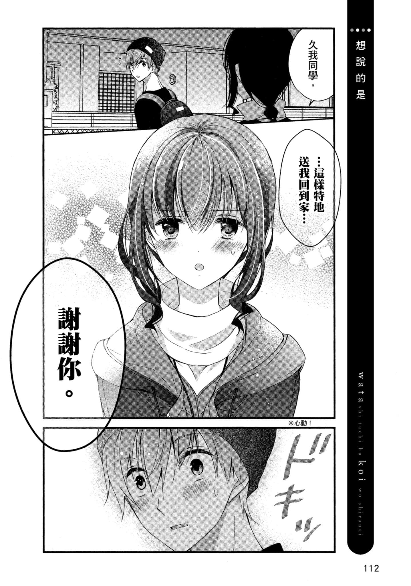 Page 111