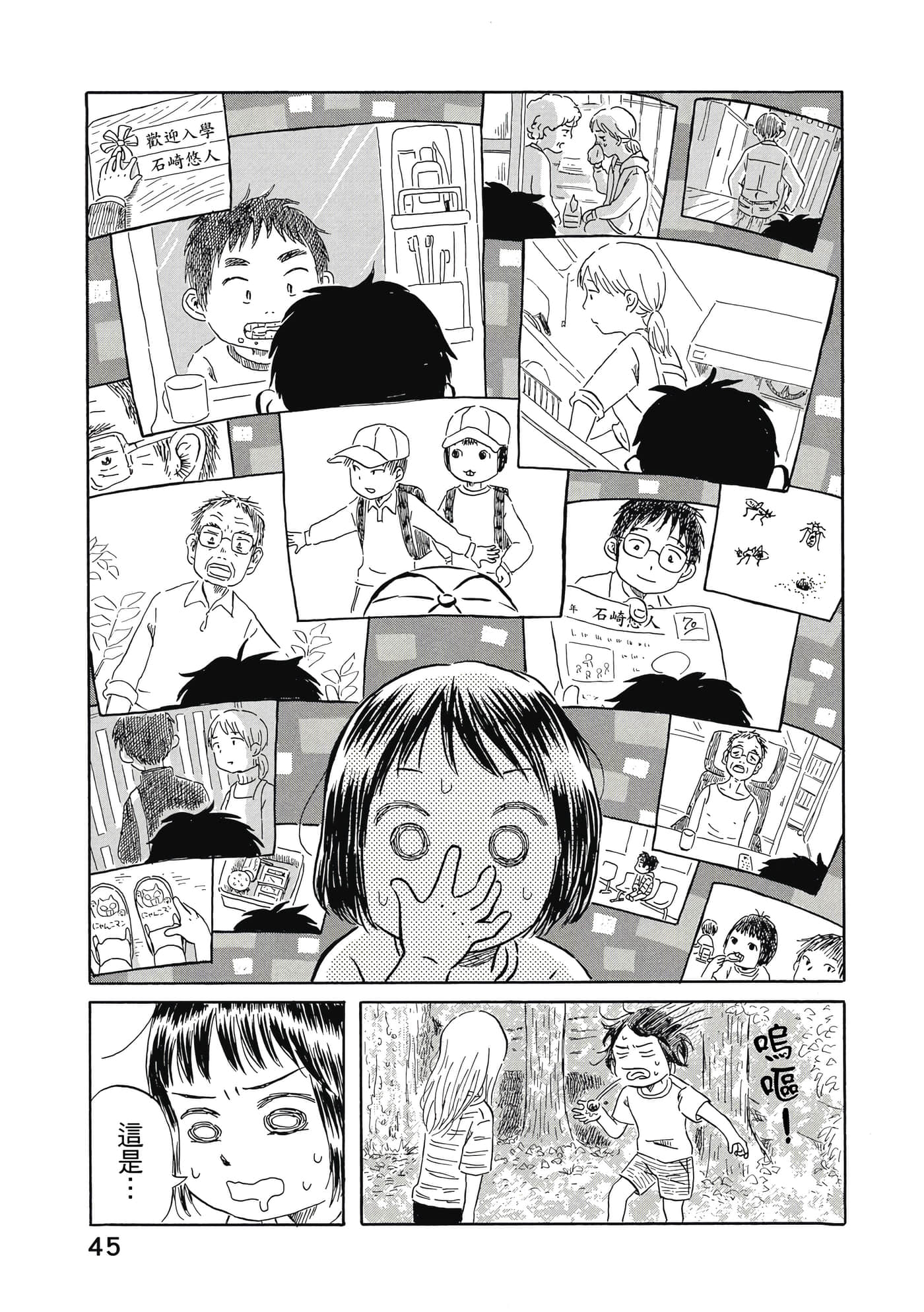 第 46 页