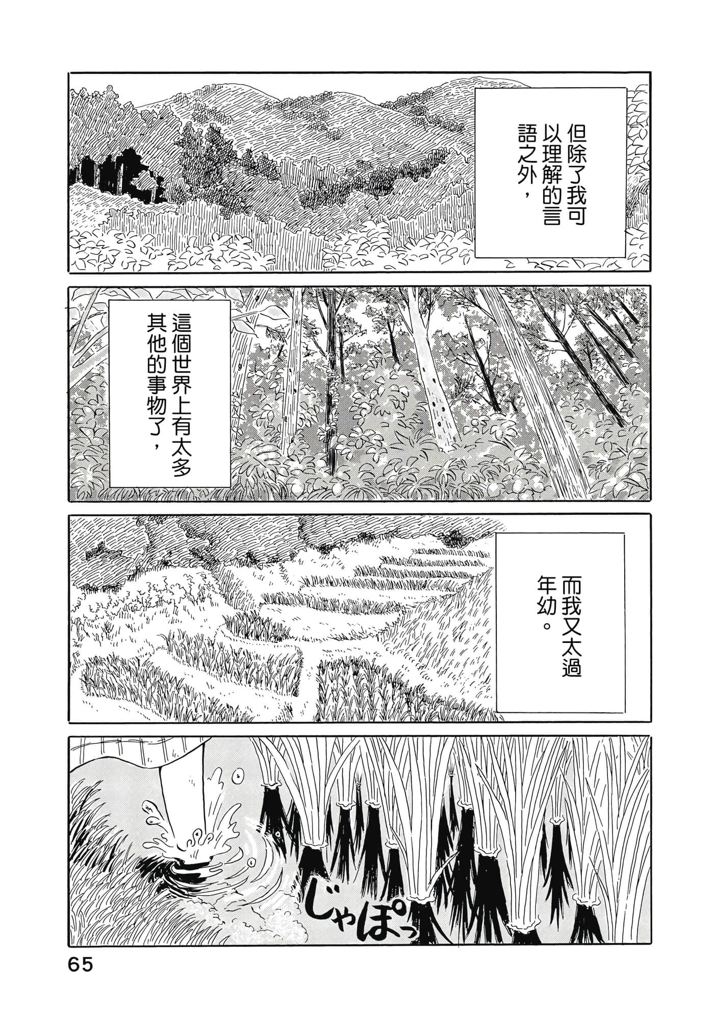 第 66 页