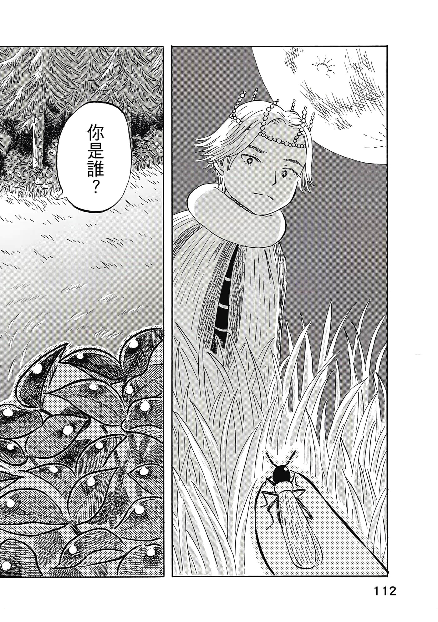 第 113 页