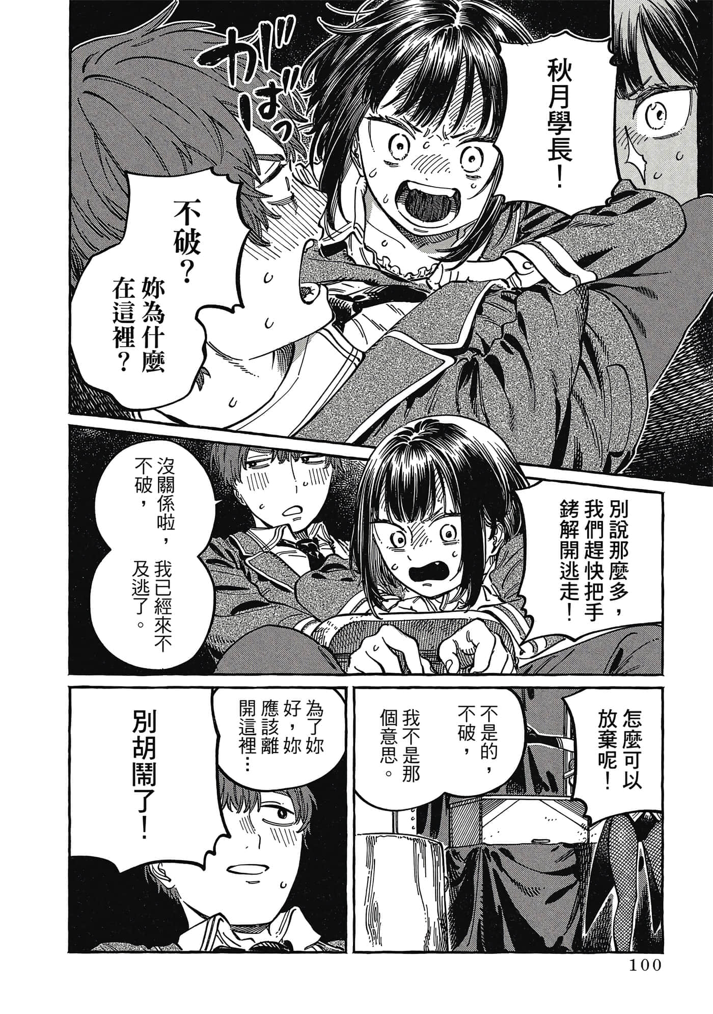 Page 101