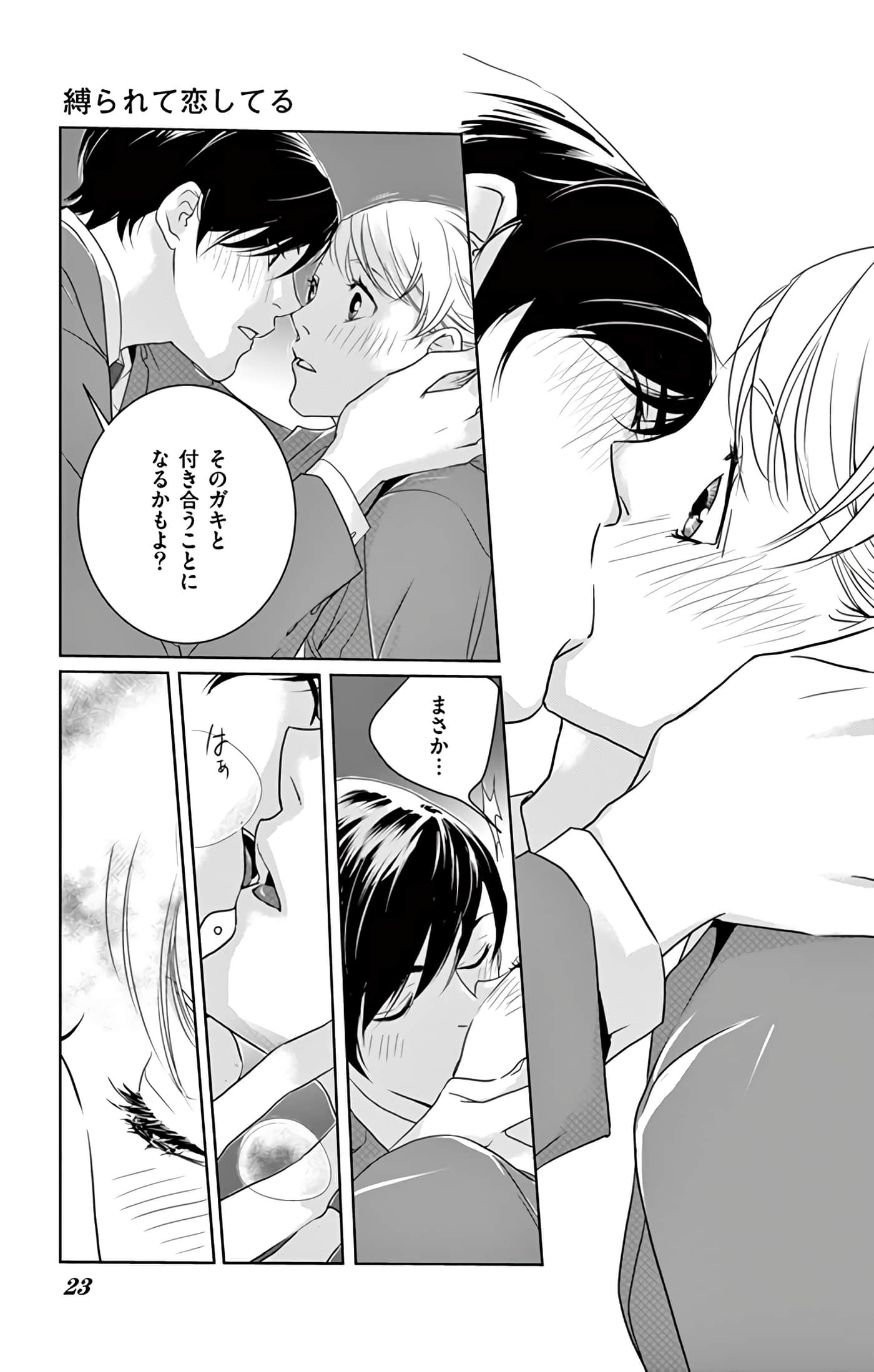 第 24 页