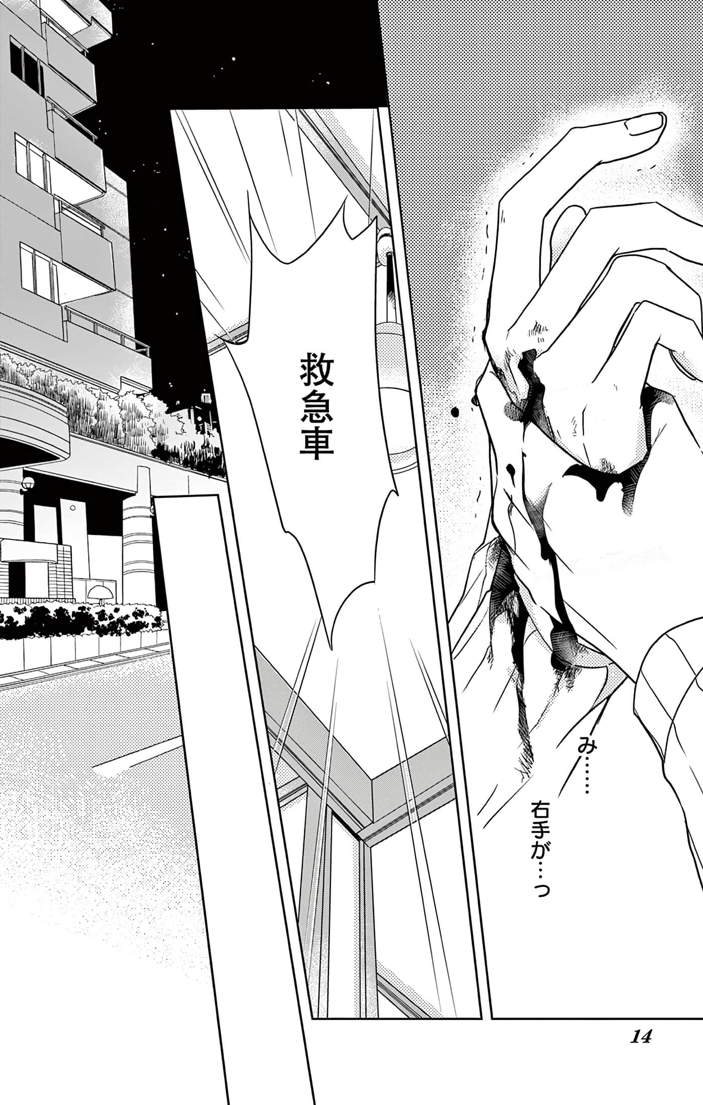 第 14 页