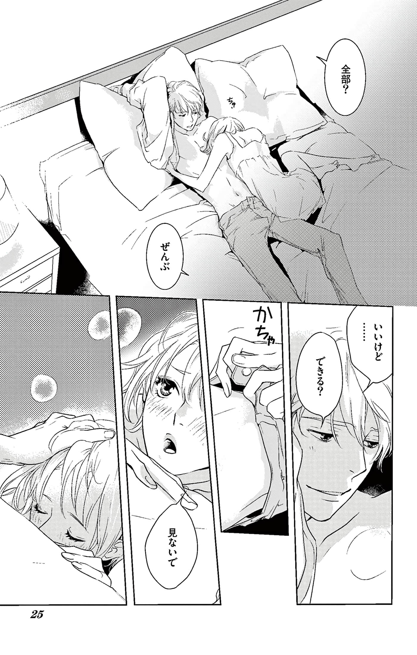 第 25 页