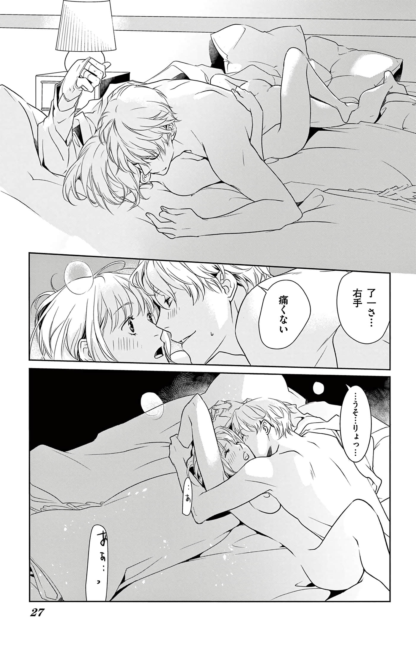 第 27 页