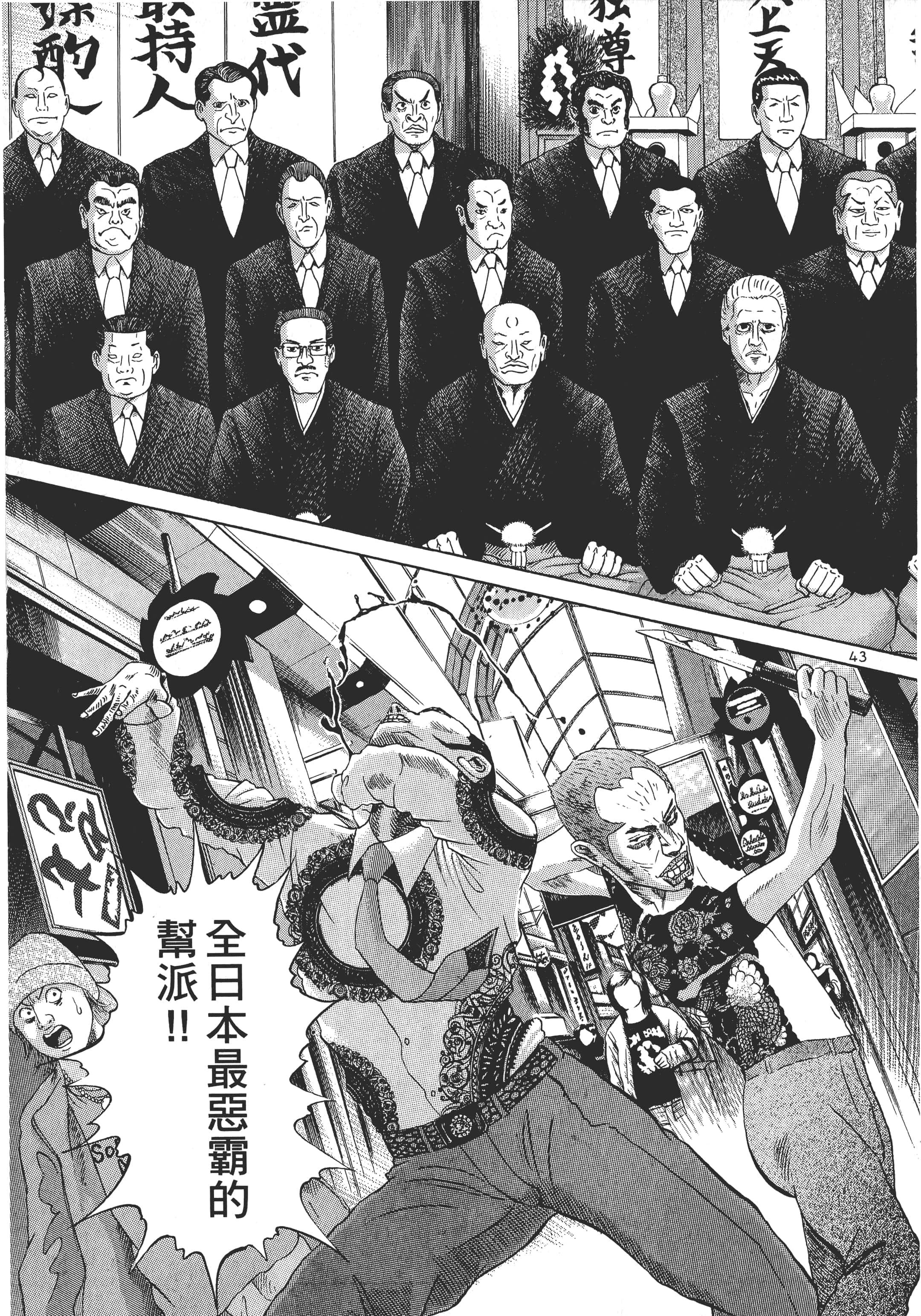 第 46 页
